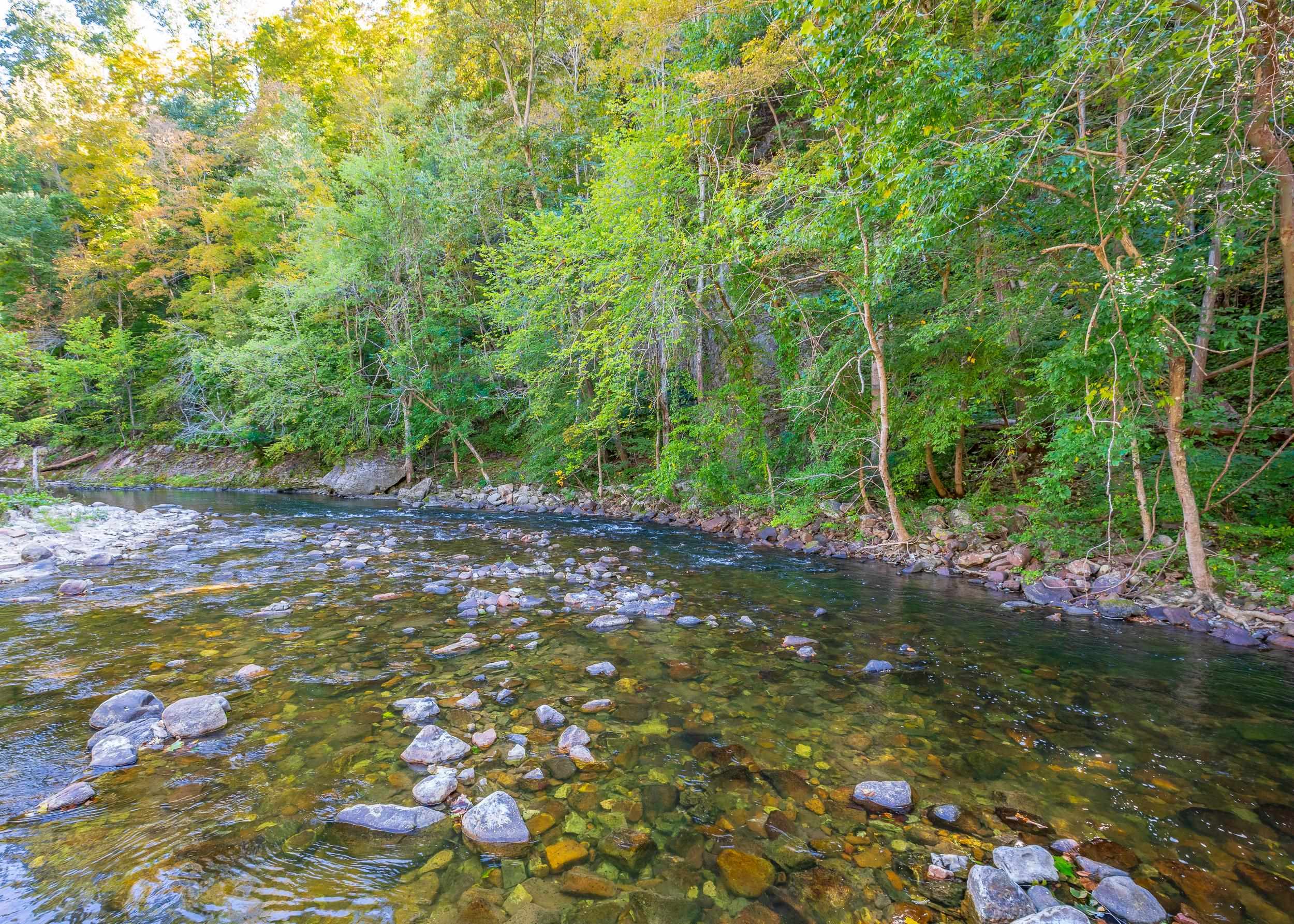 Tbd Wolf Creek Road Narrows VA 24124