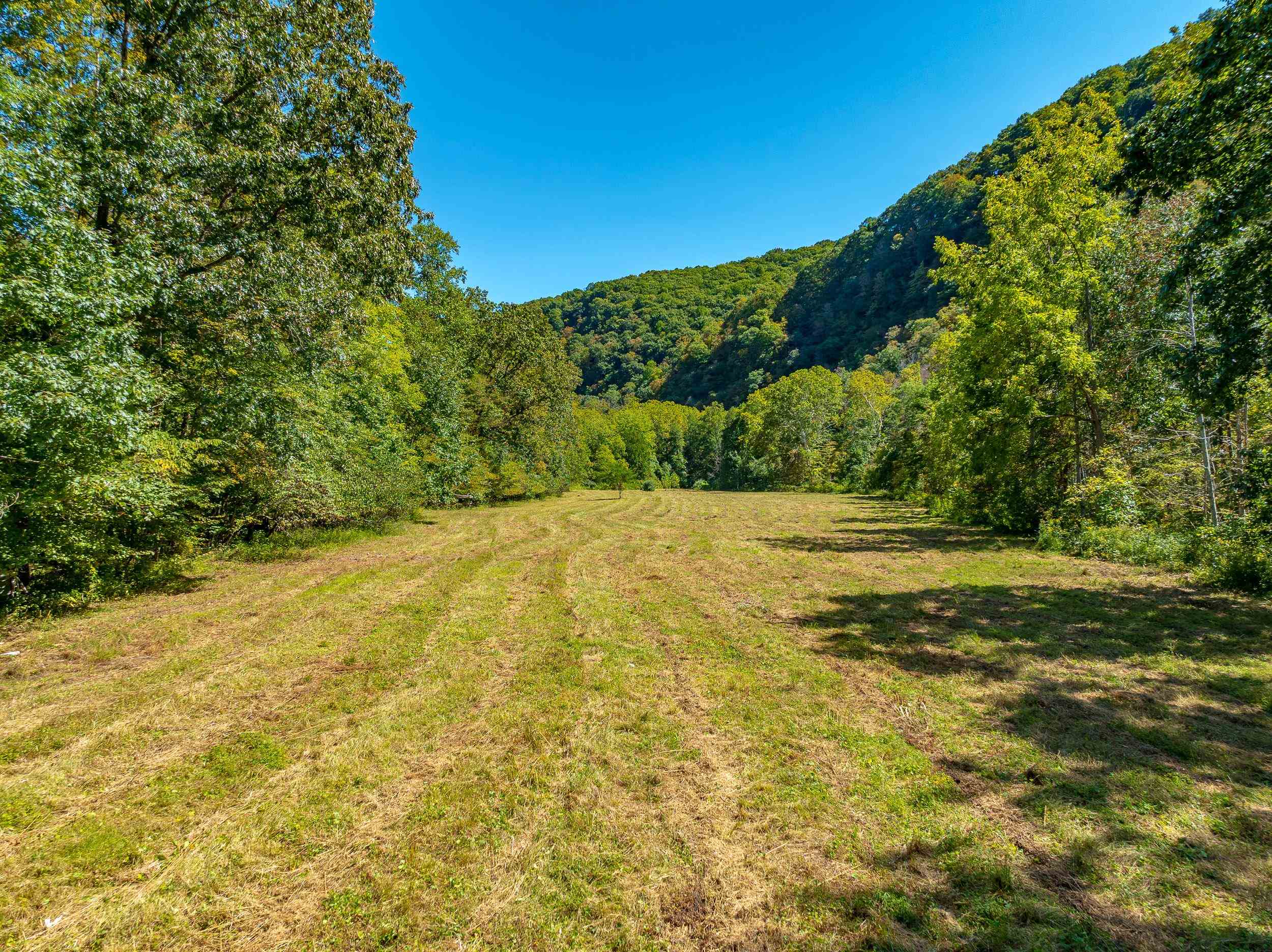 Tbd Wolf Creek Road Narrows VA 24124