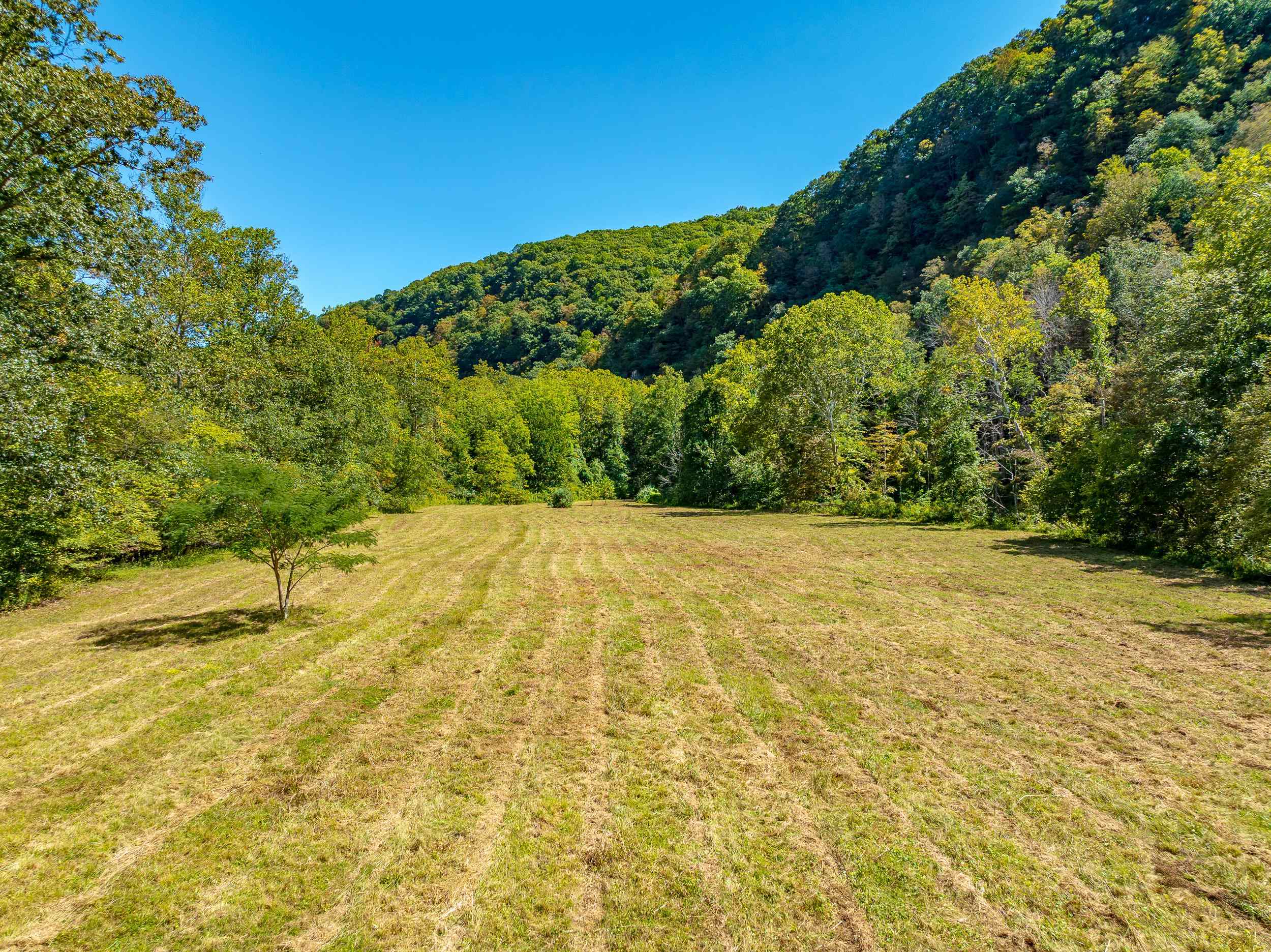 Tbd Wolf Creek Road Narrows VA 24124