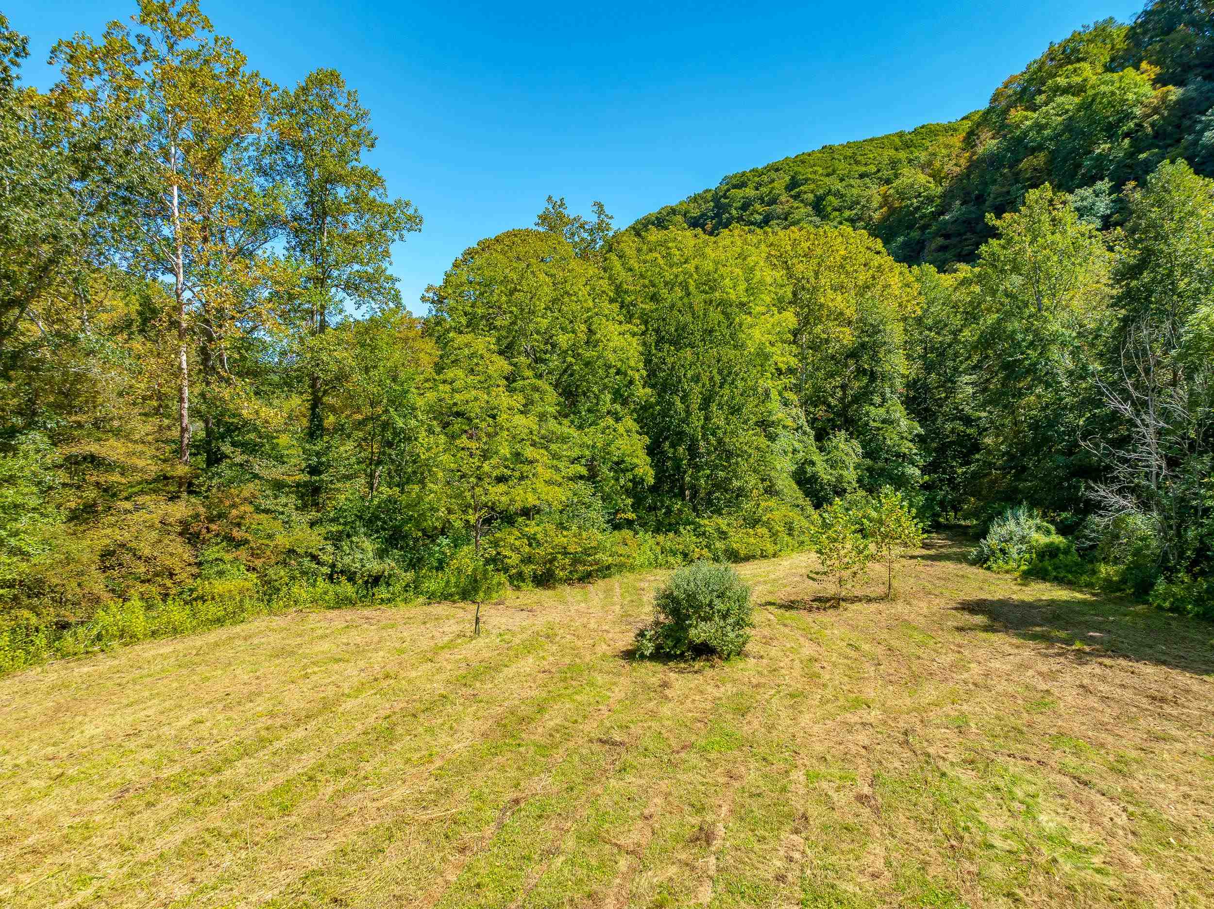 Tbd Wolf Creek Road Narrows VA 24124