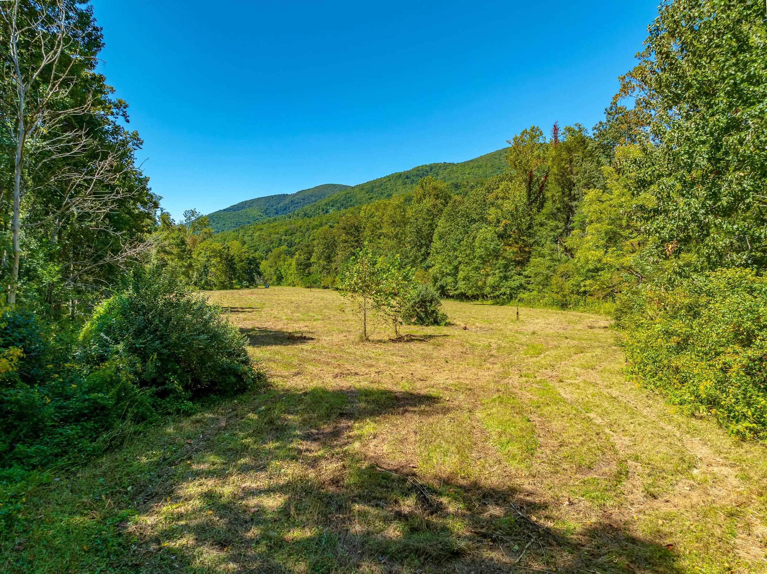 Tbd Wolf Creek Road Narrows VA 24124