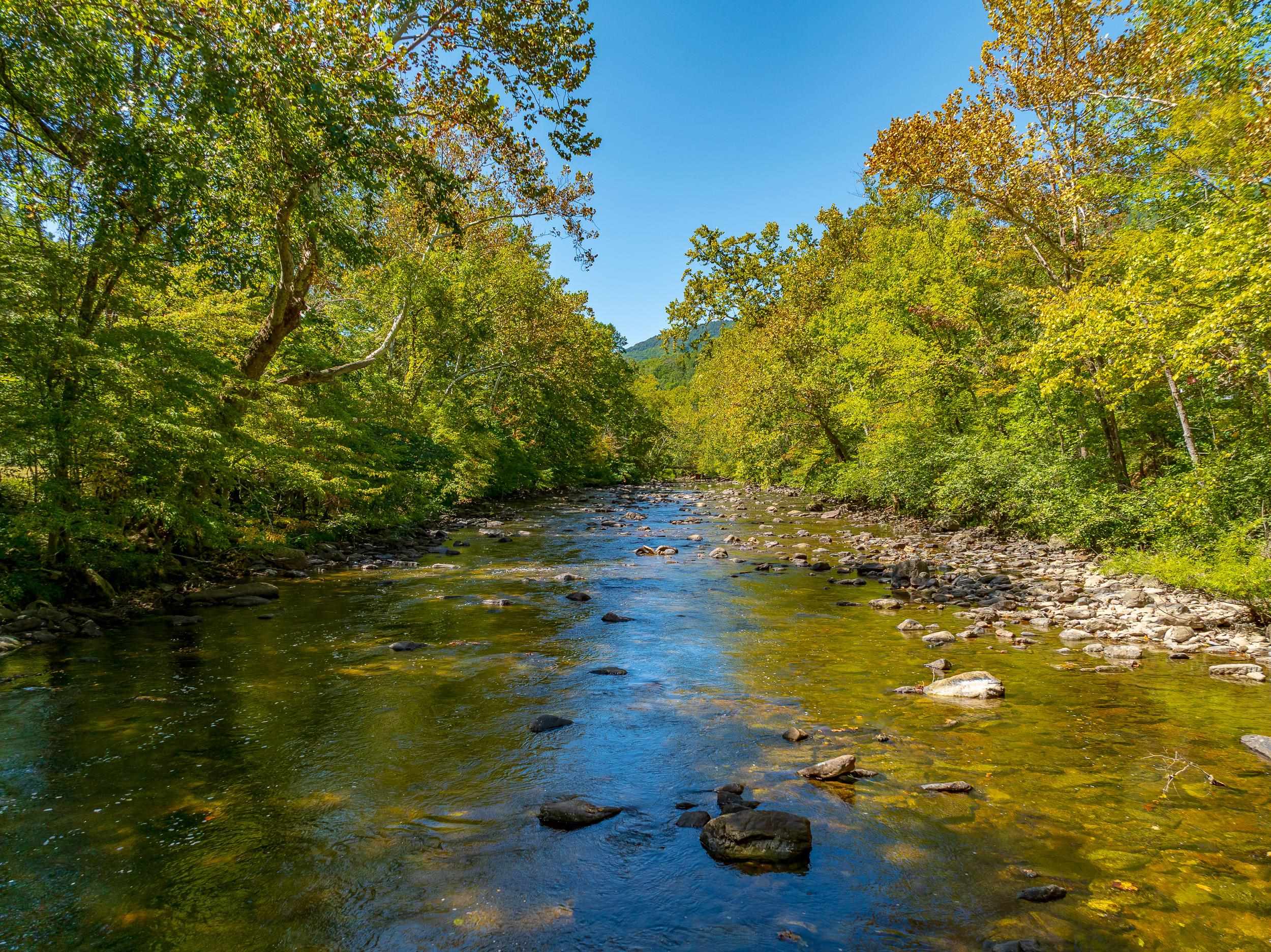 Tbd Wolf Creek Road Narrows VA 24124