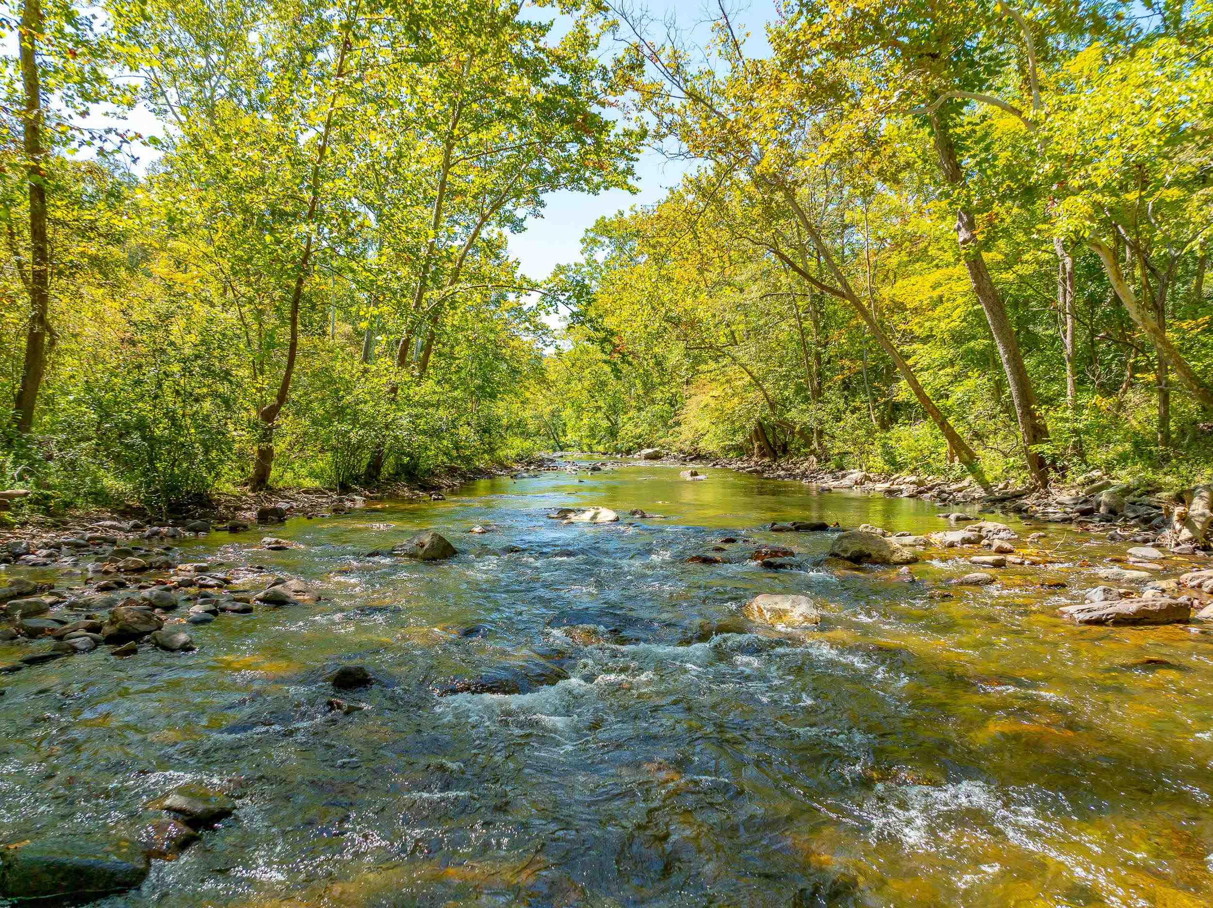 Tbd Wolf Creek Road Narrows VA 24124