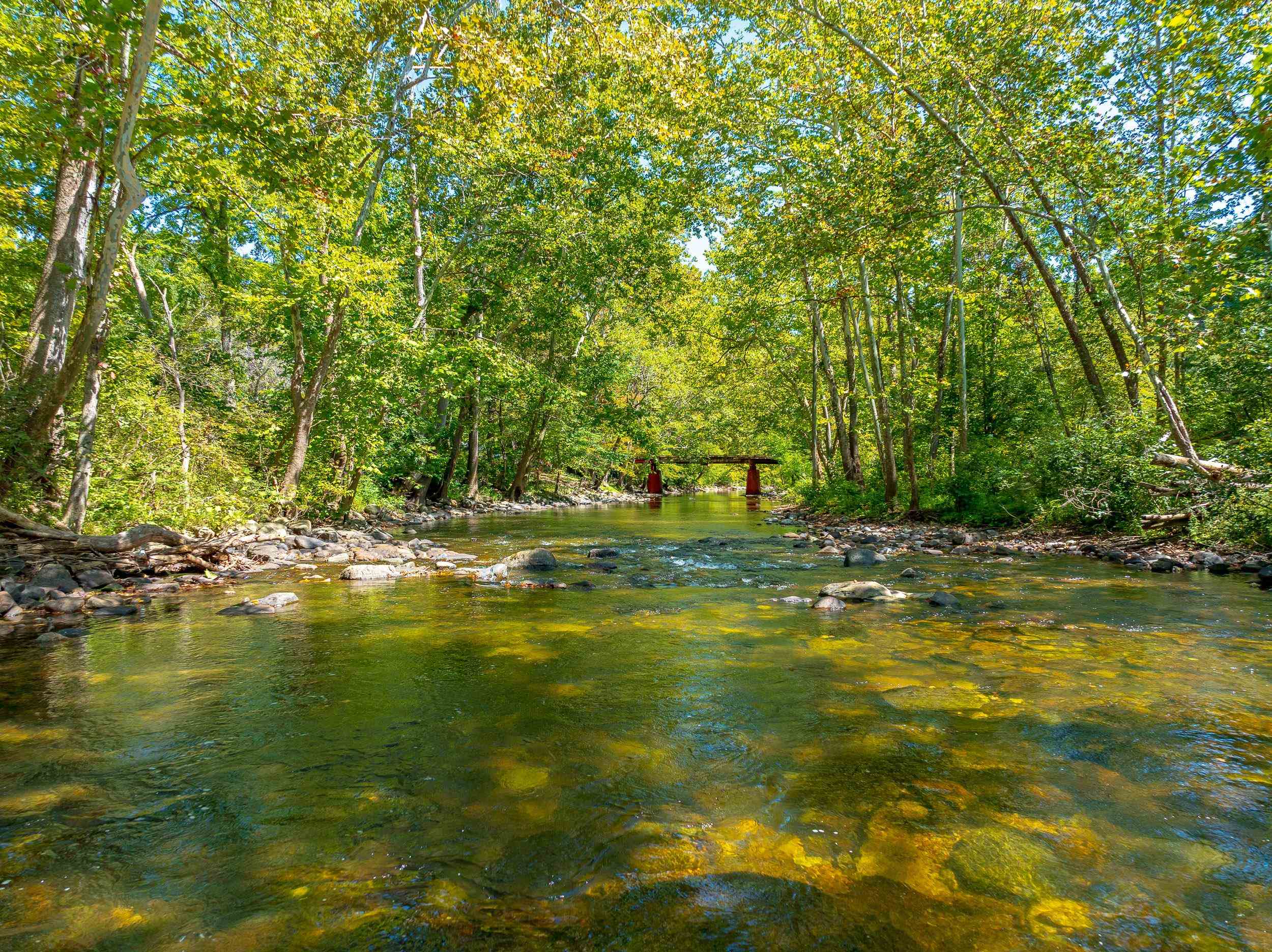 Tbd Wolf Creek Road Narrows VA 24124