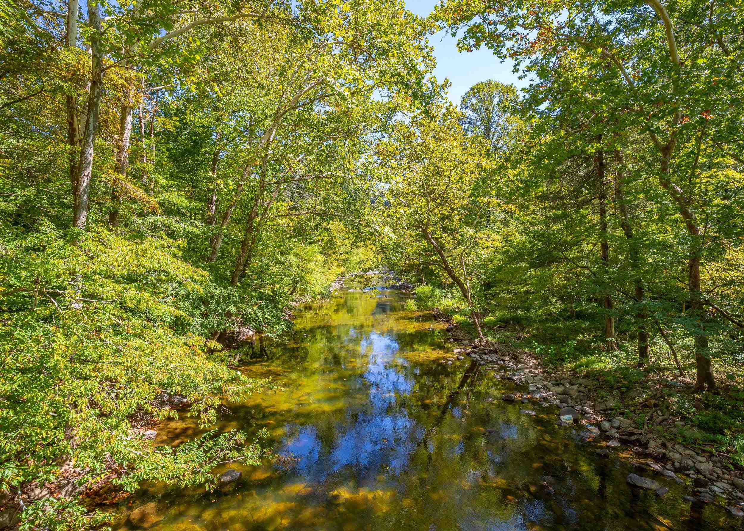 Tbd Wolf Creek Road Narrows VA 24124