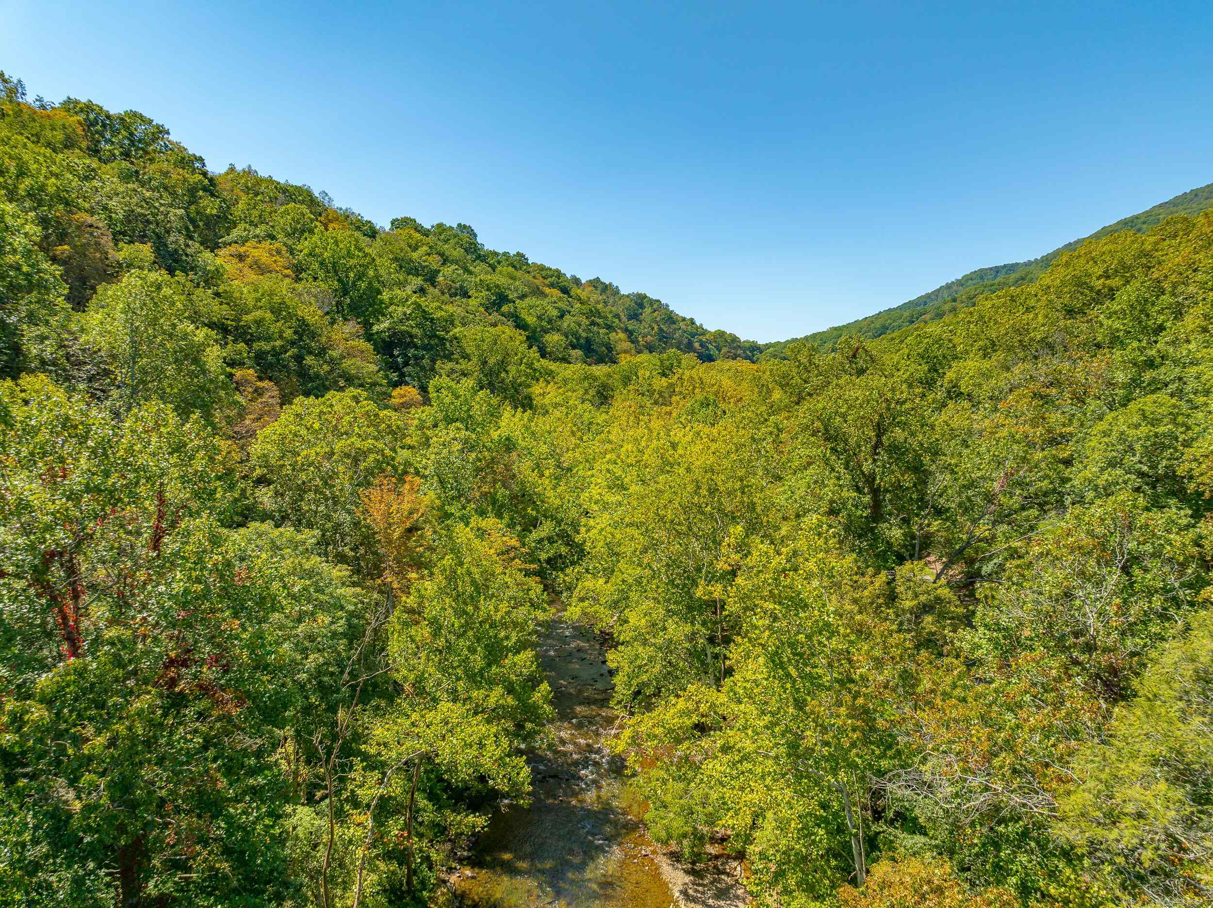 Tbd Wolf Creek Road Narrows VA 24124