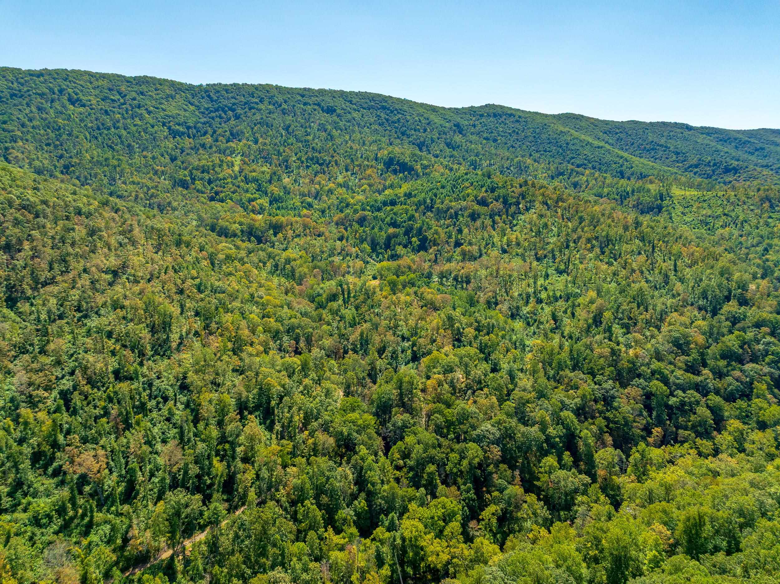 Tbd Wolf Creek Road Narrows VA 24124