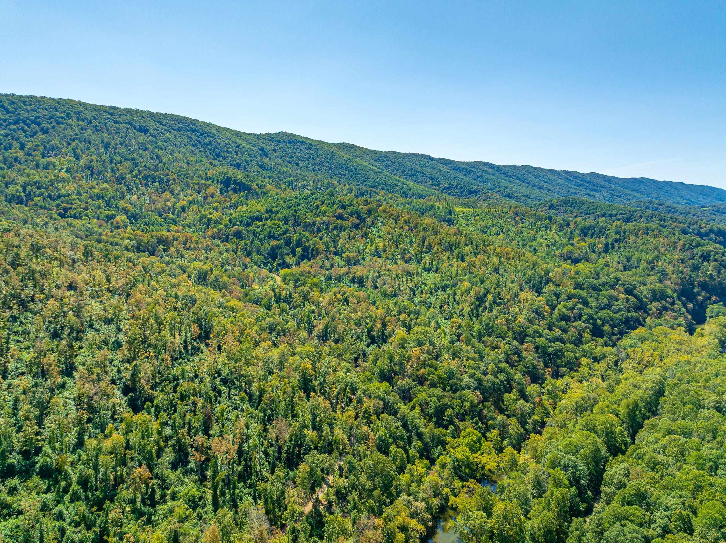 Tbd Wolf Creek Road Narrows VA 24124