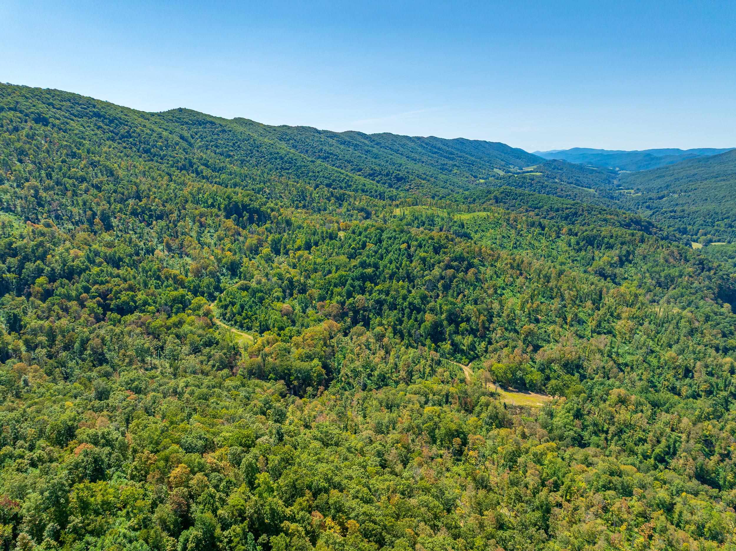 Tbd Wolf Creek Road Narrows VA 24124