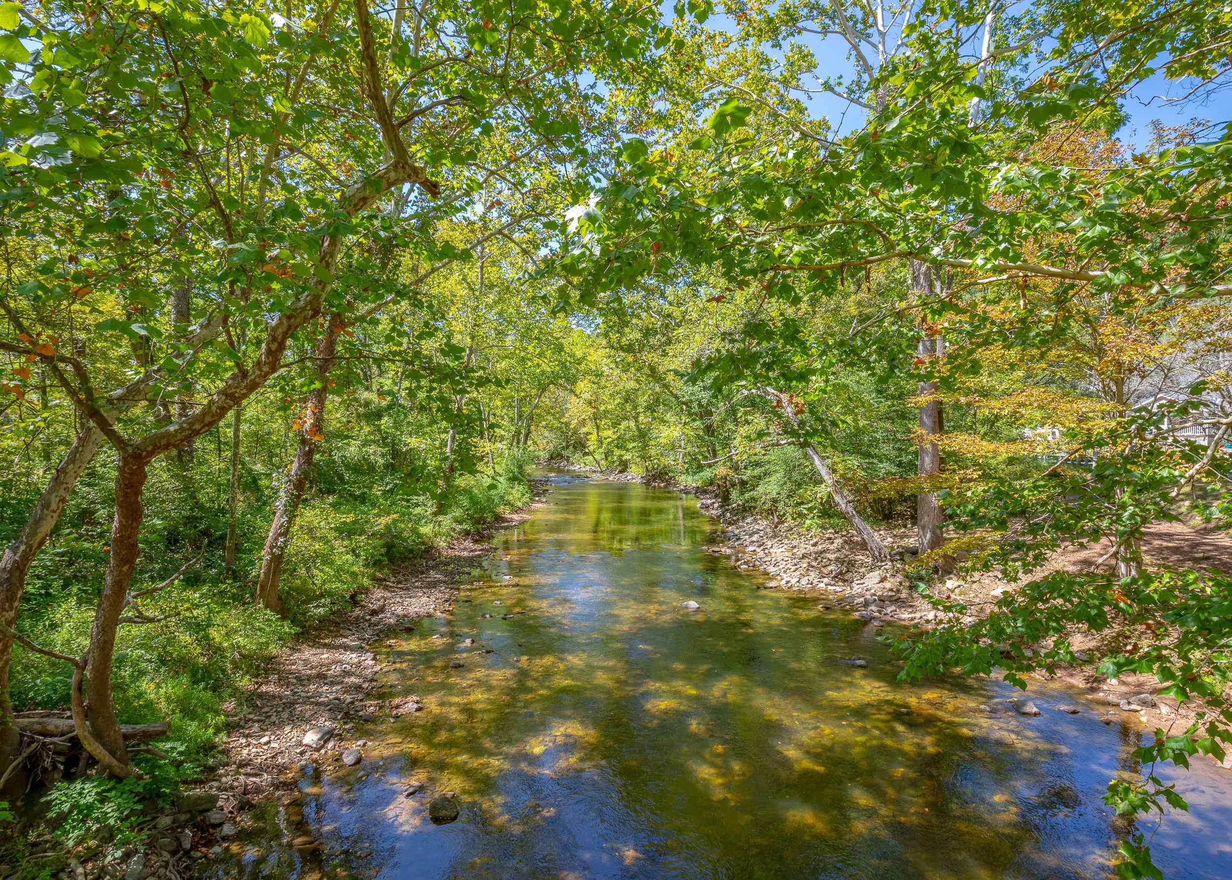 Tbd Wolf Creek Road Narrows VA 24124