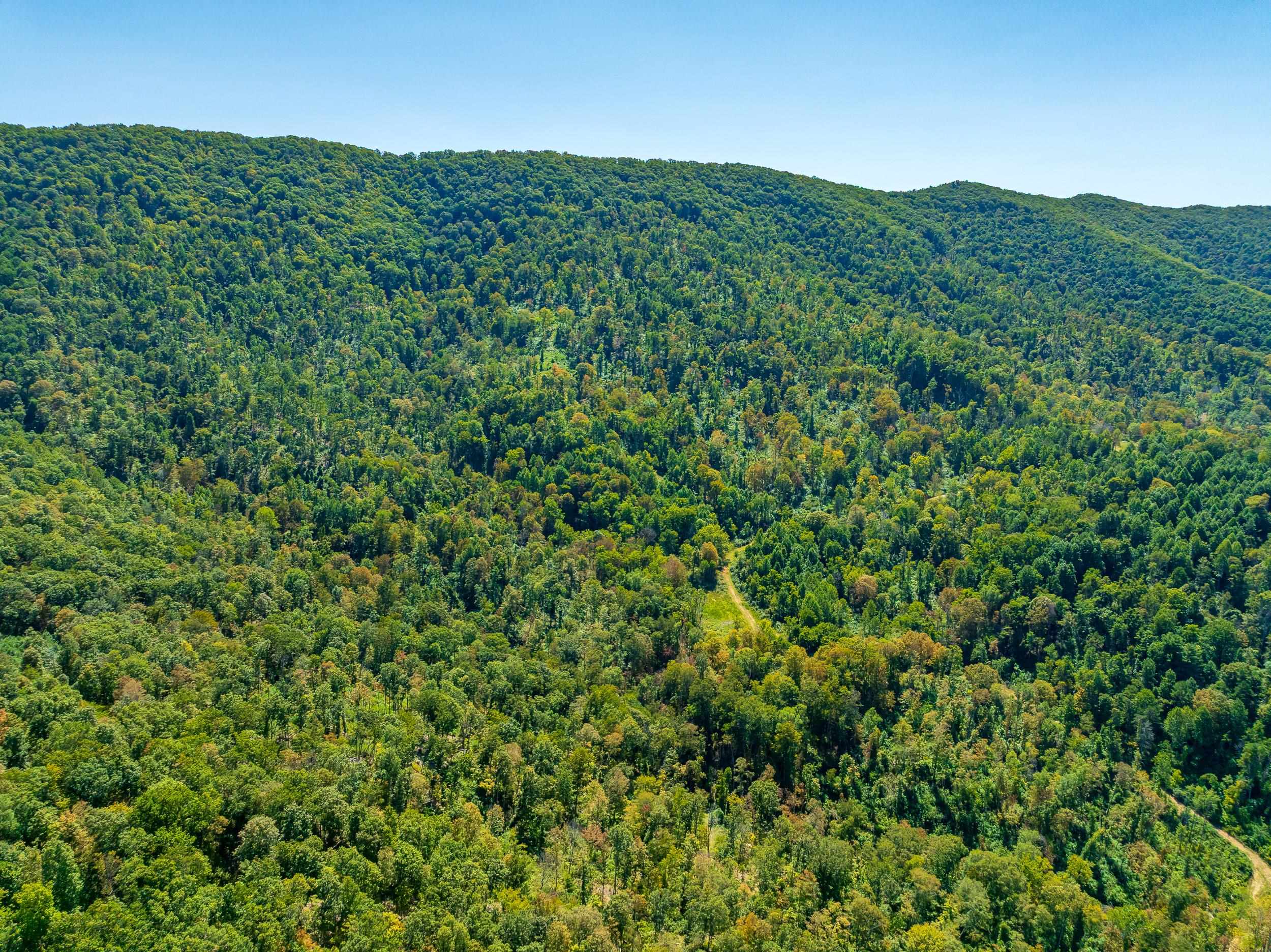 Tbd Wolf Creek Road Narrows VA 24124