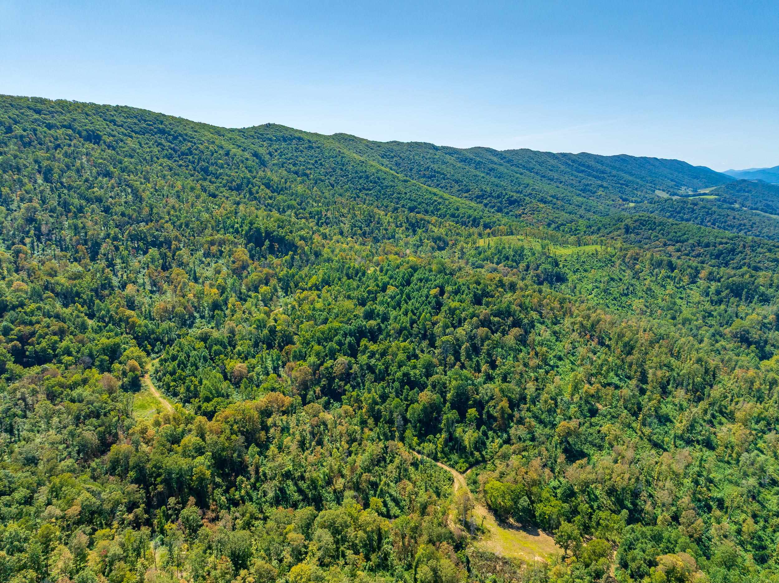 Tbd Wolf Creek Road Narrows VA 24124