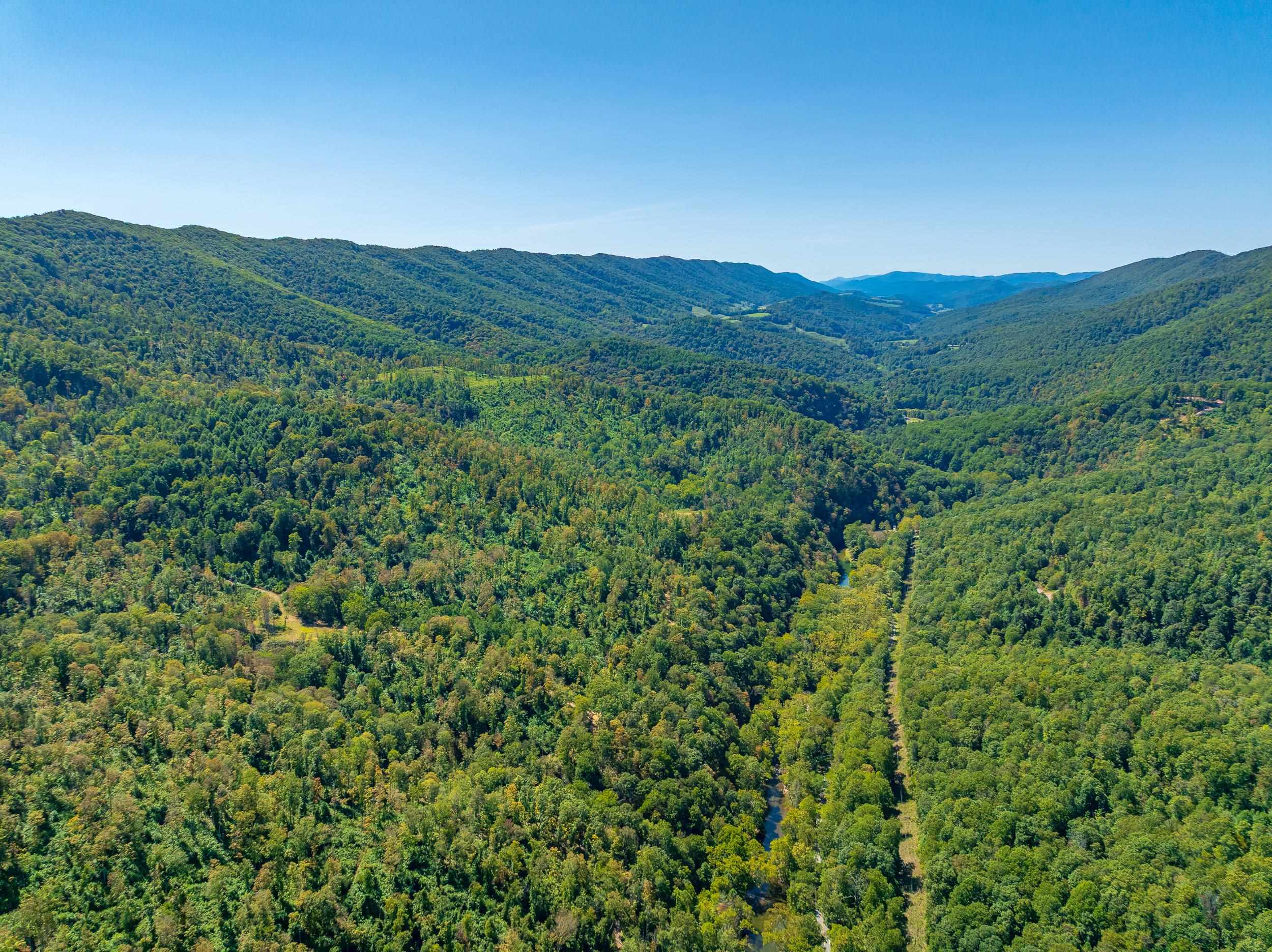 Tbd Wolf Creek Road Narrows VA 24124