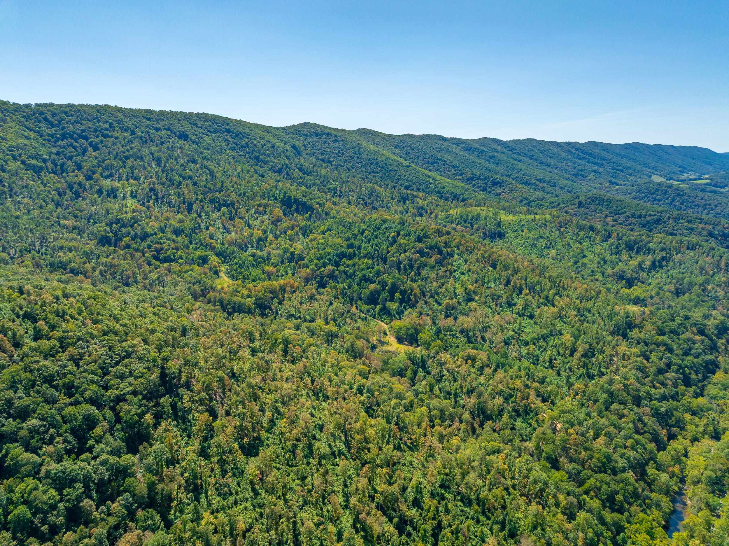 Tbd Wolf Creek Road Narrows VA 24124