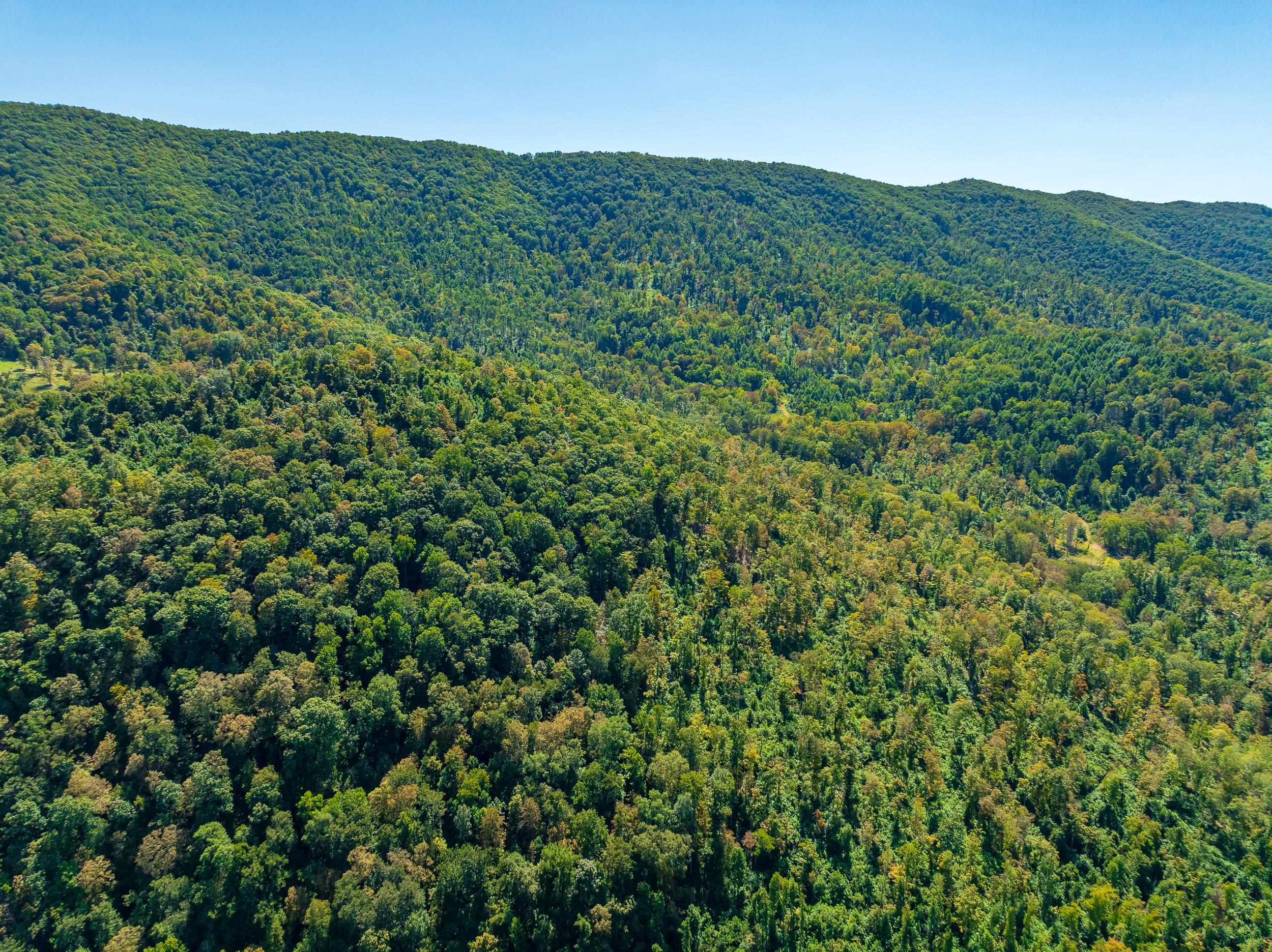 Tbd Wolf Creek Road Narrows VA 24124