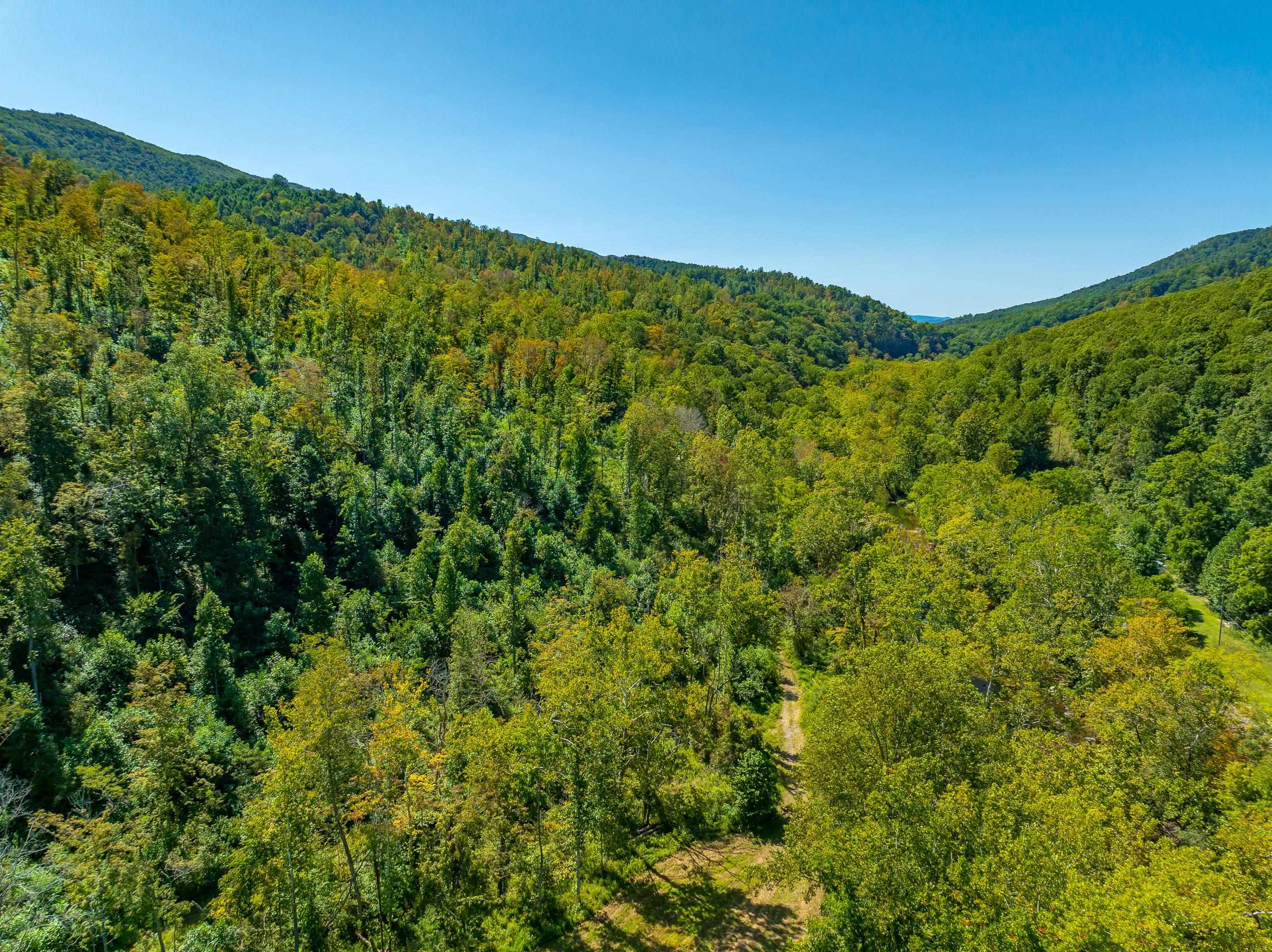 Tbd Wolf Creek Road Narrows VA 24124