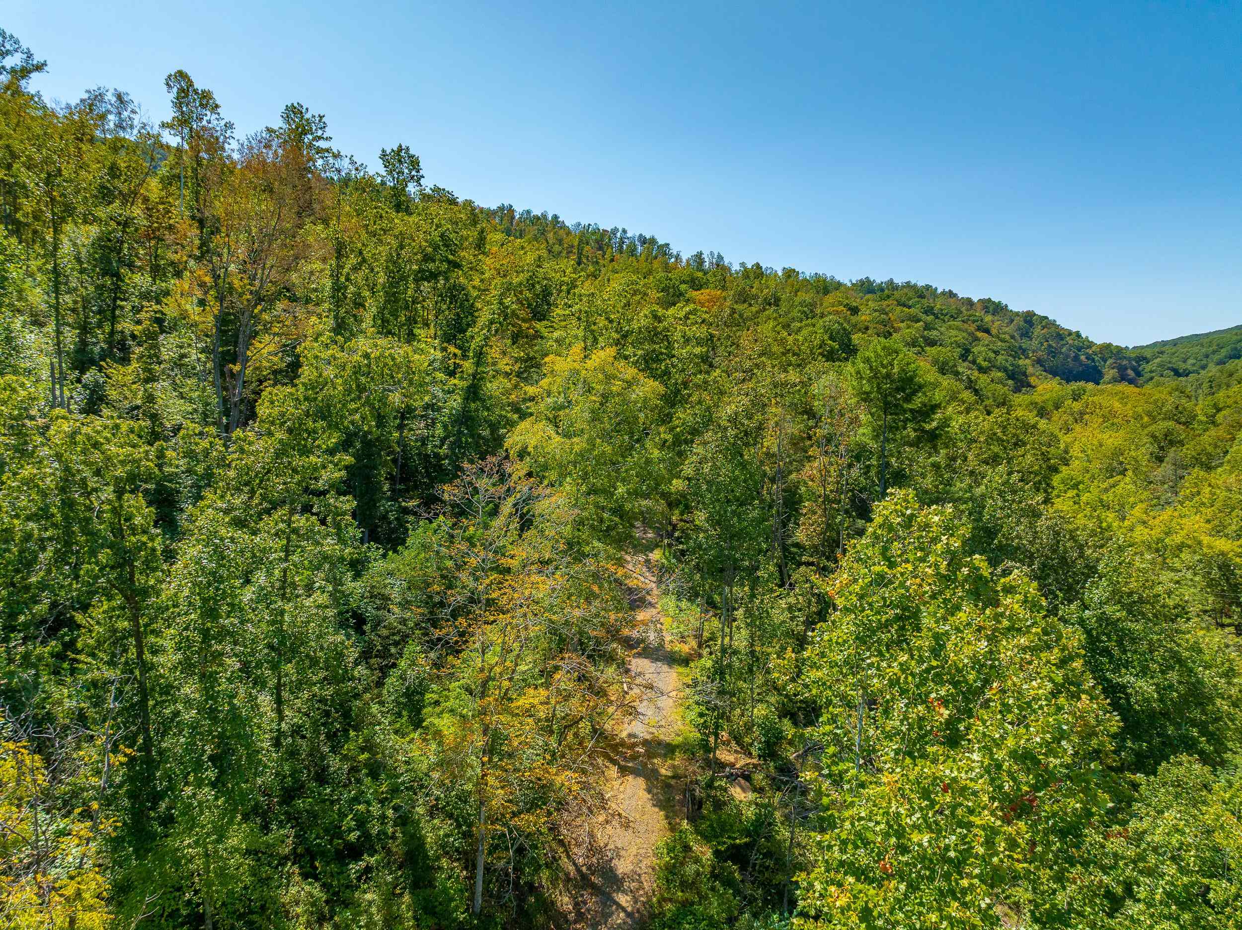 Tbd Wolf Creek Road Narrows VA 24124