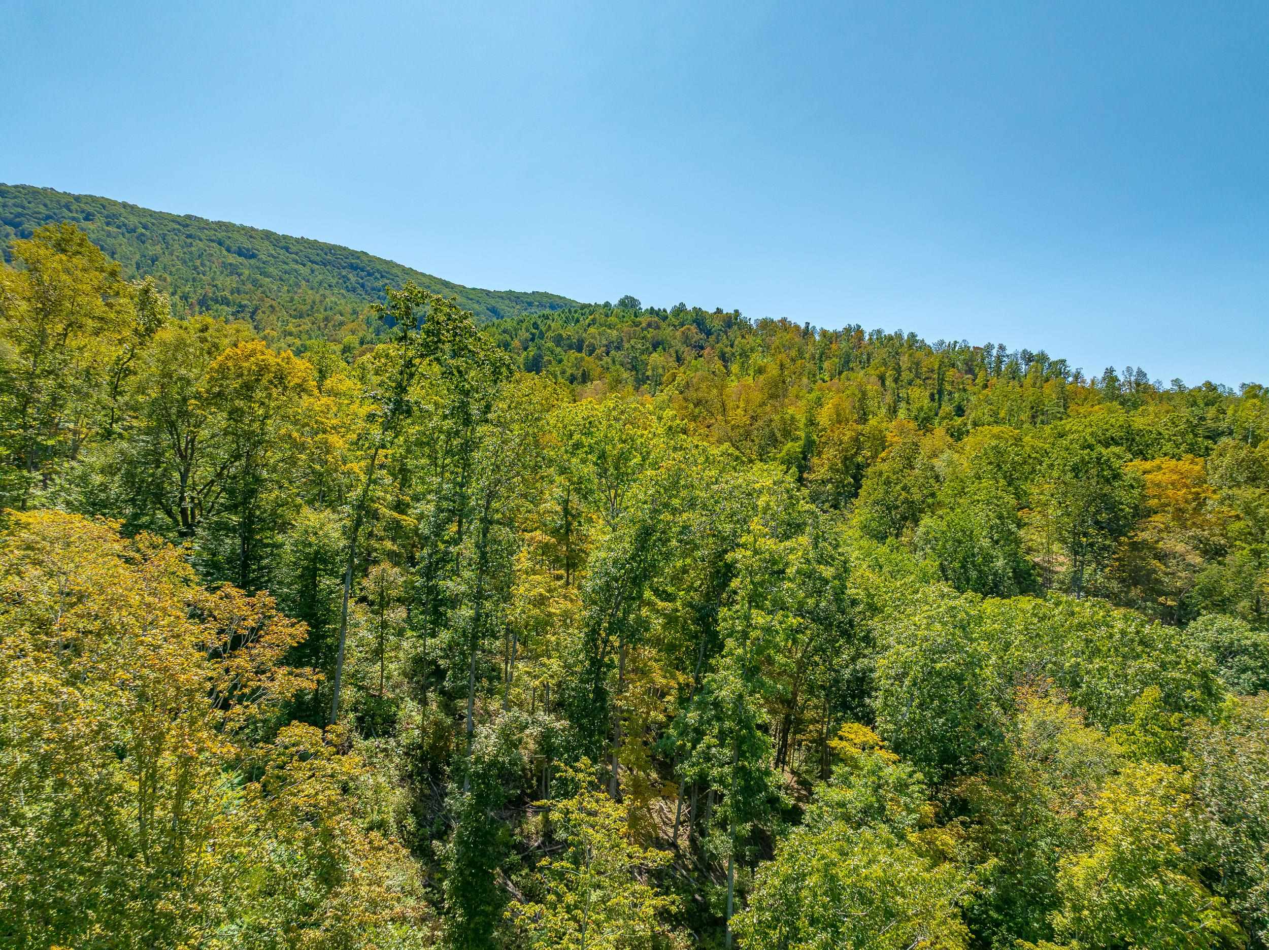 Tbd Wolf Creek Road Narrows VA 24124