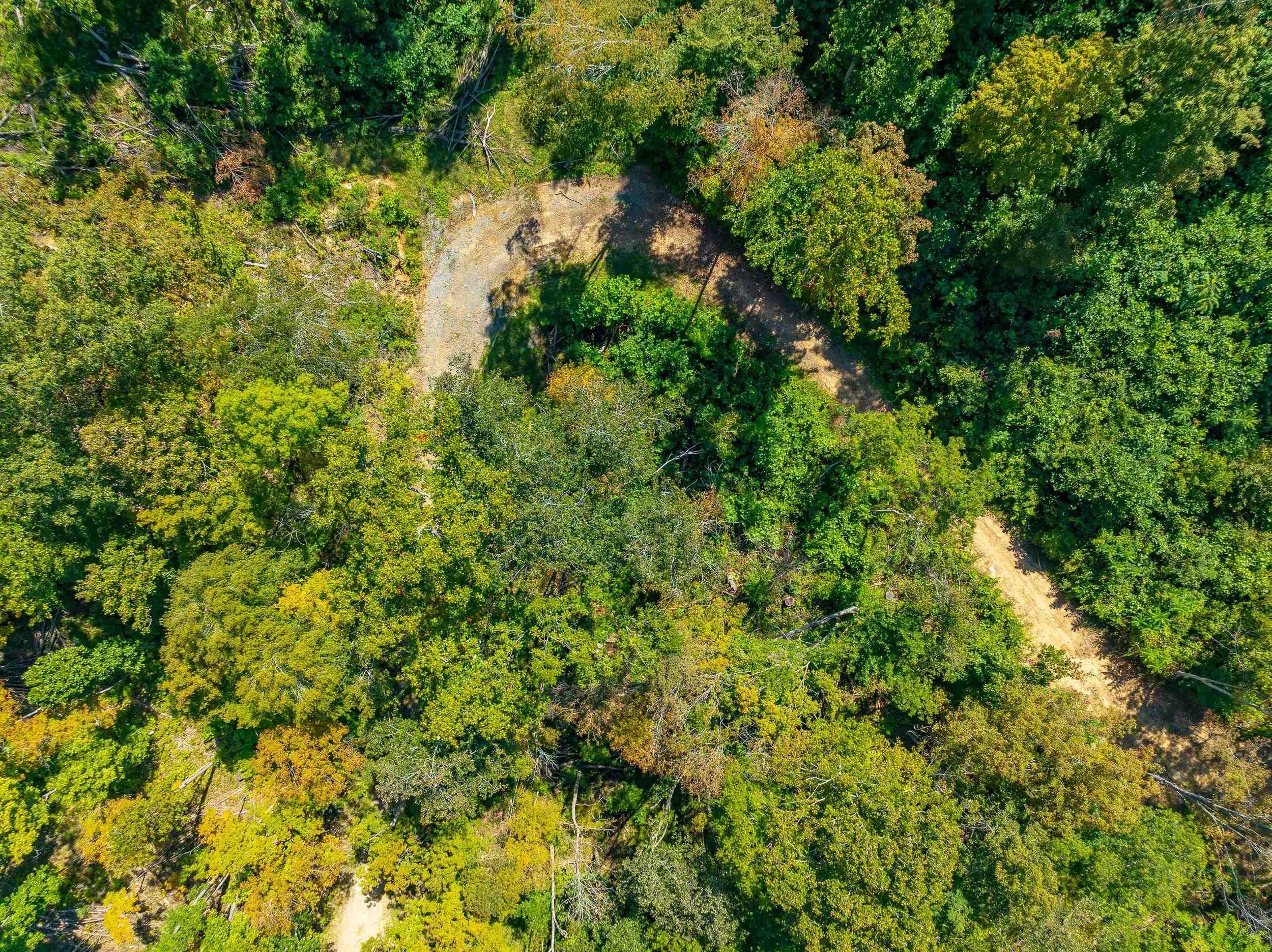 Tbd Wolf Creek Road Narrows VA 24124