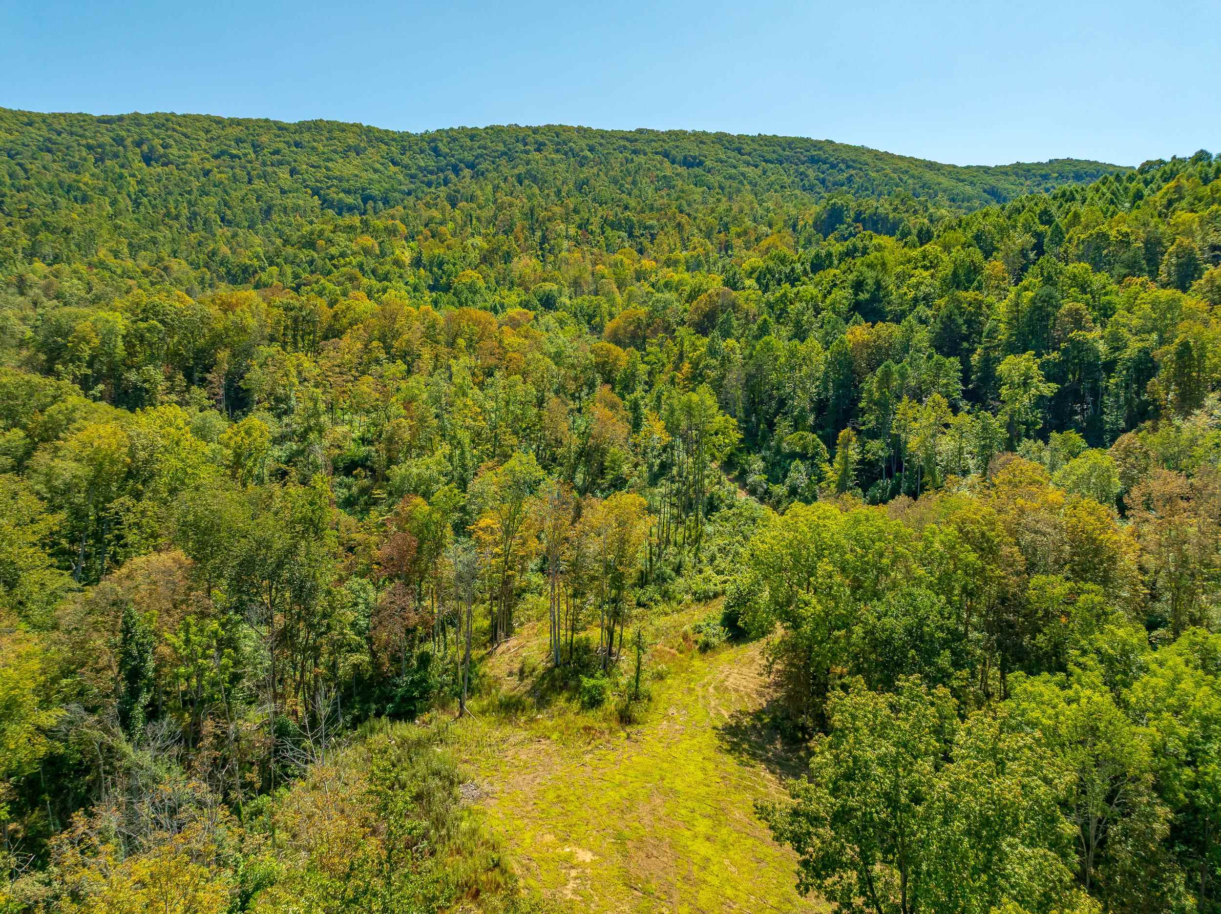 Tbd Wolf Creek Road Narrows VA 24124