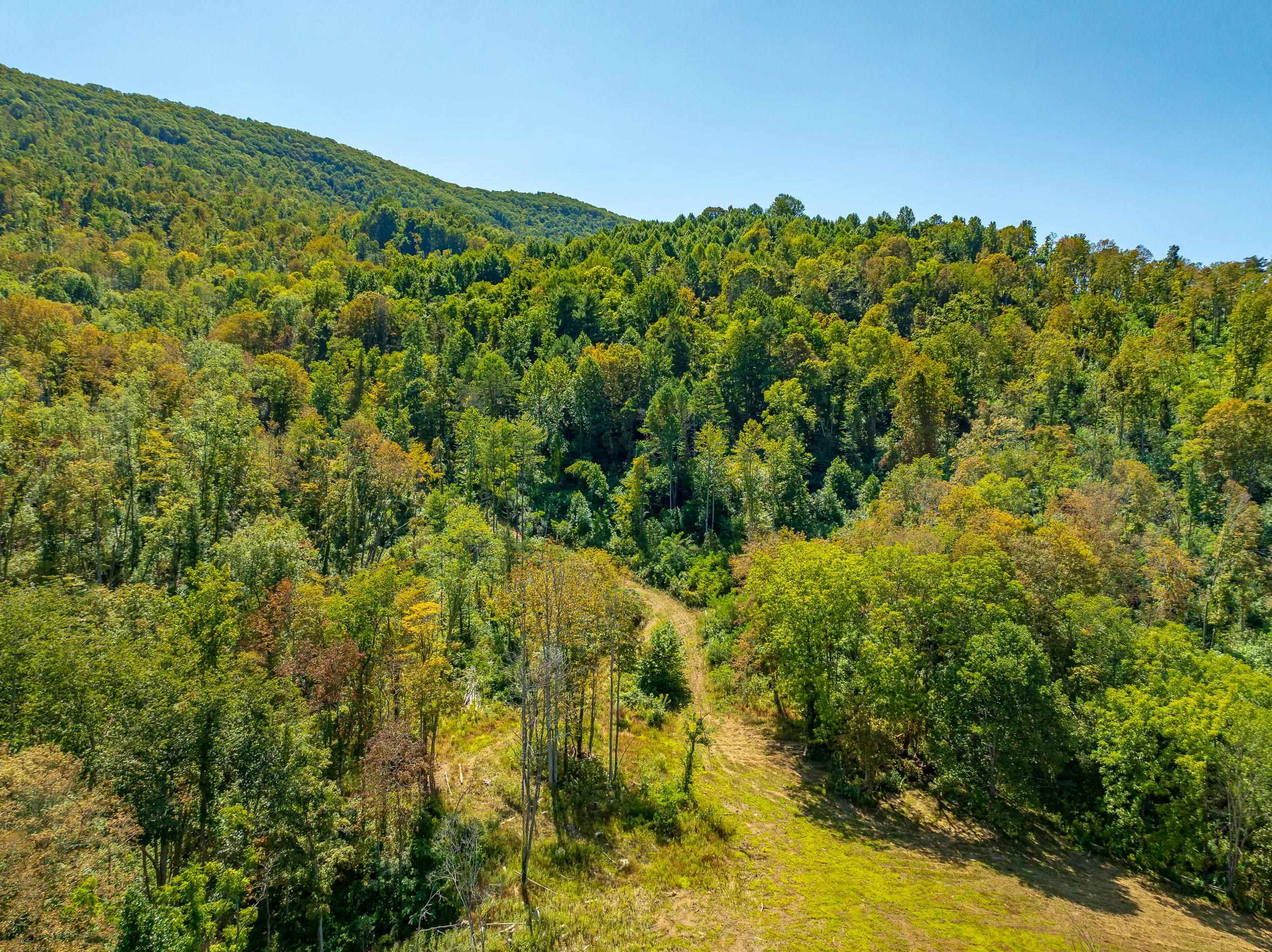 Tbd Wolf Creek Road Narrows VA 24124