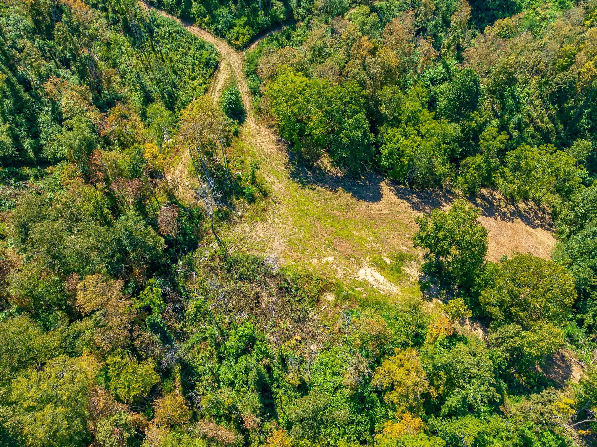 Tbd Wolf Creek Road Narrows VA 24124