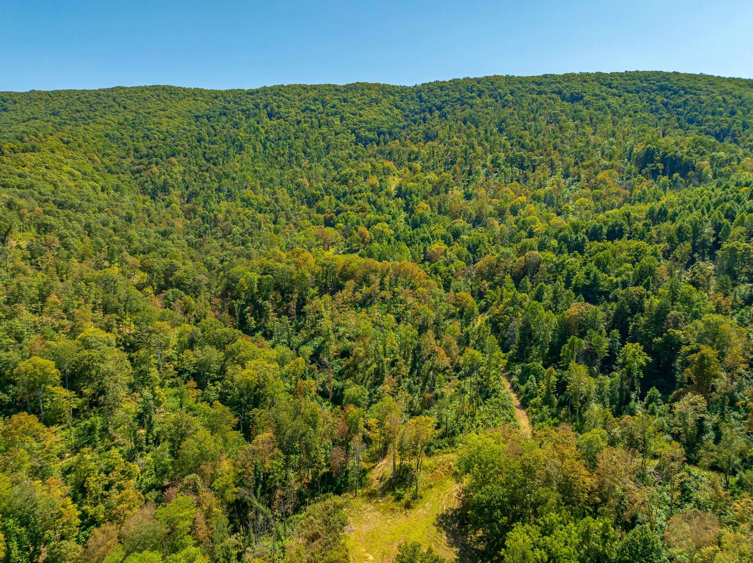 Tbd Wolf Creek Road Narrows VA 24124