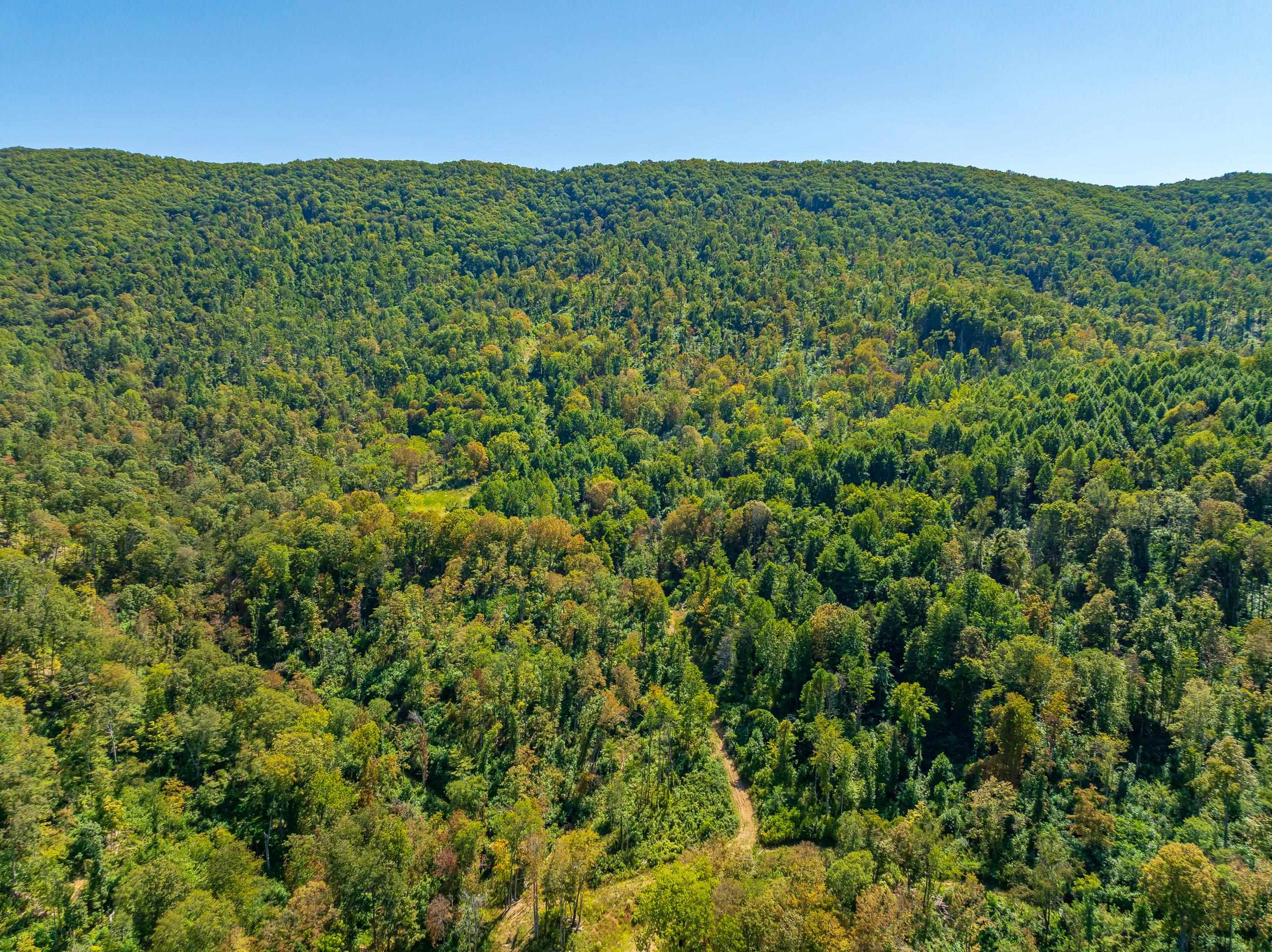 Tbd Wolf Creek Road Narrows VA 24124