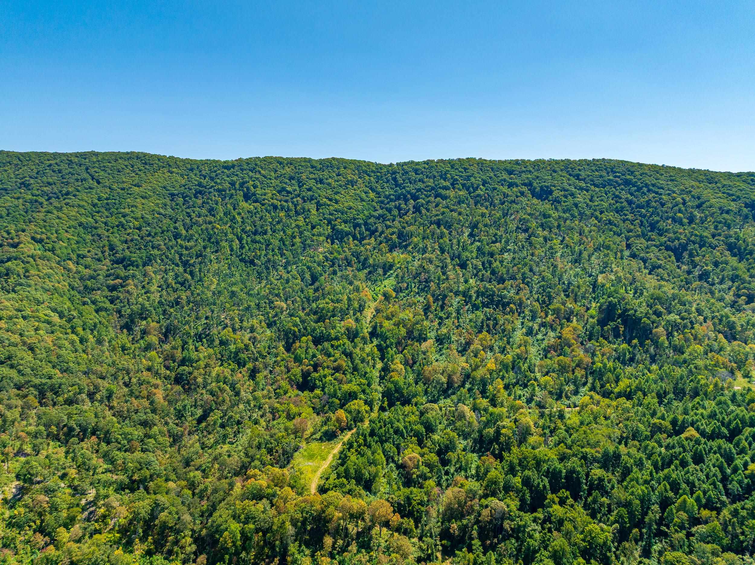 Tbd Wolf Creek Road Narrows VA 24124