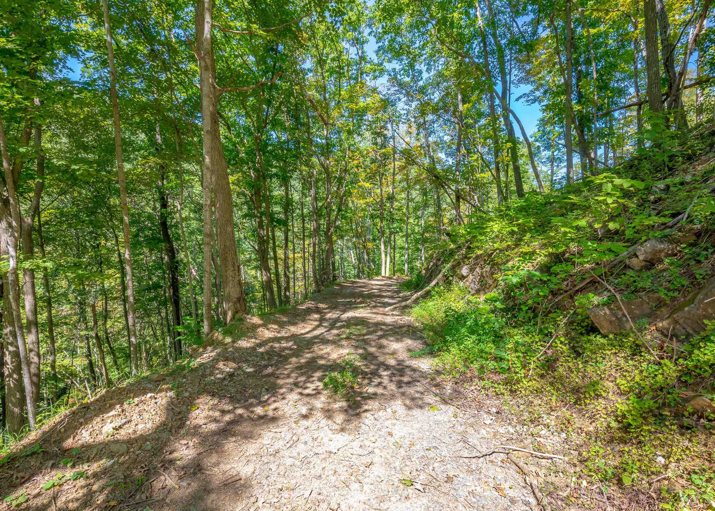 Tbd Wolf Creek Road Narrows VA 24124