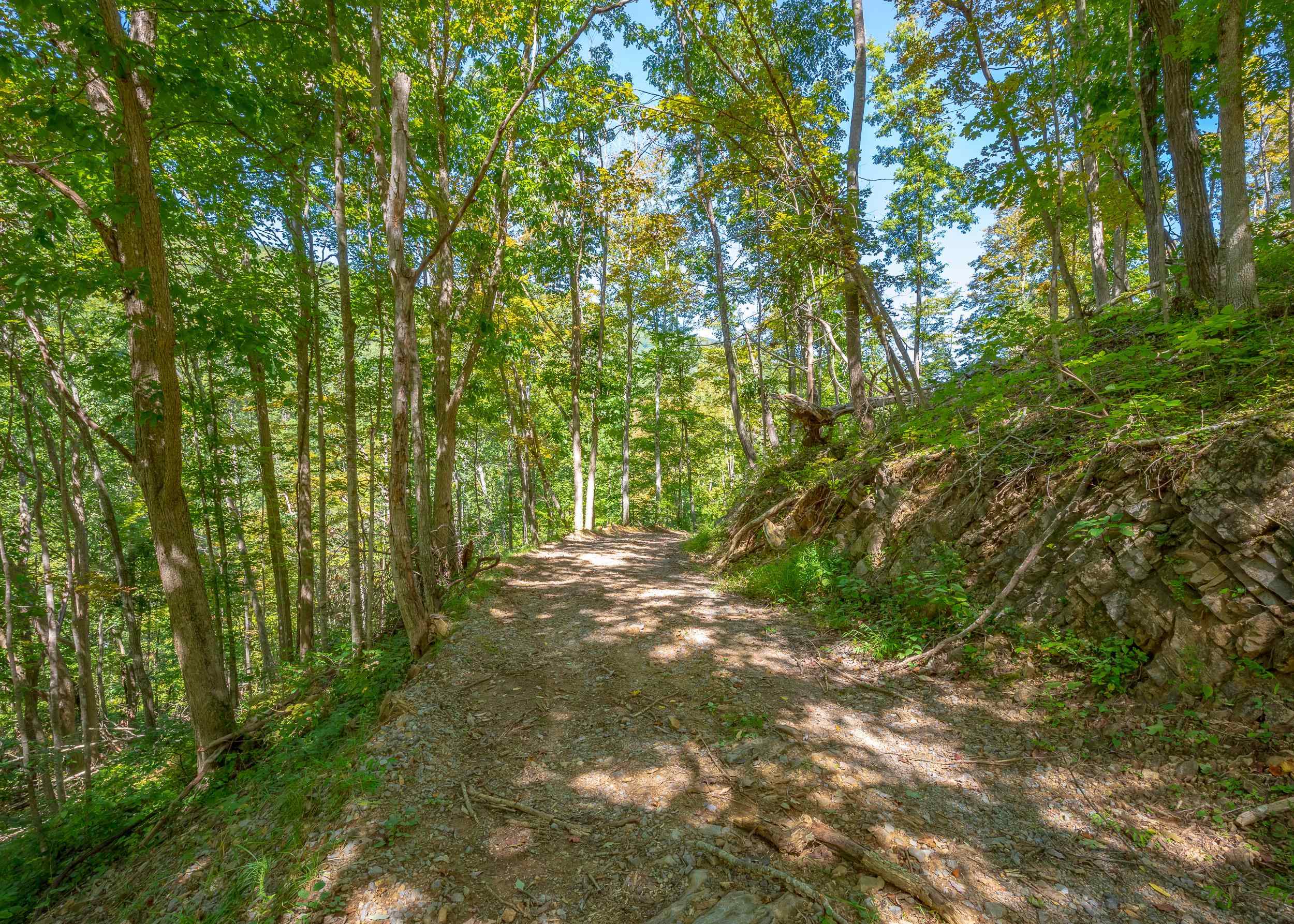 Tbd Wolf Creek Road Narrows VA 24124