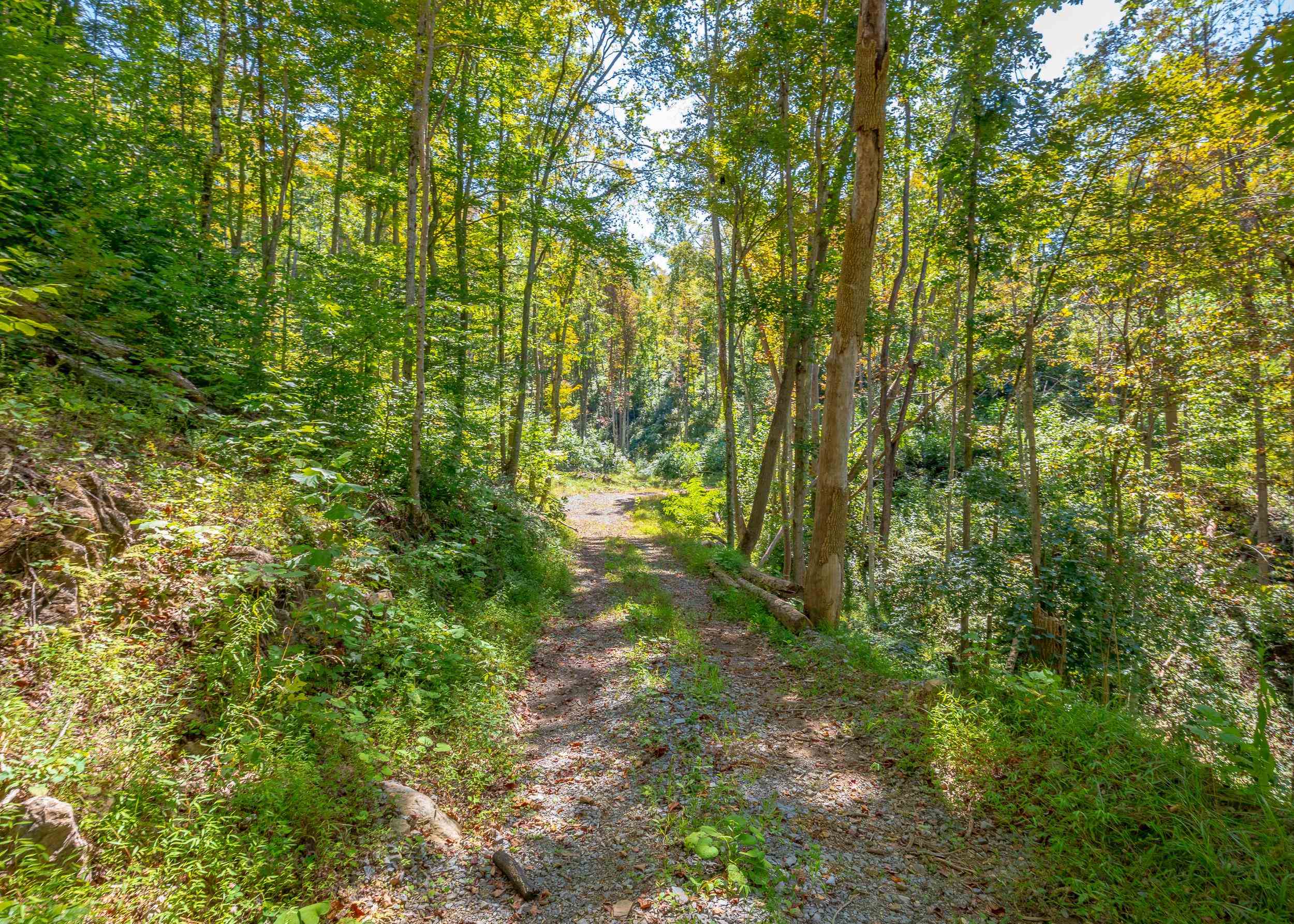 Tbd Wolf Creek Road Narrows VA 24124