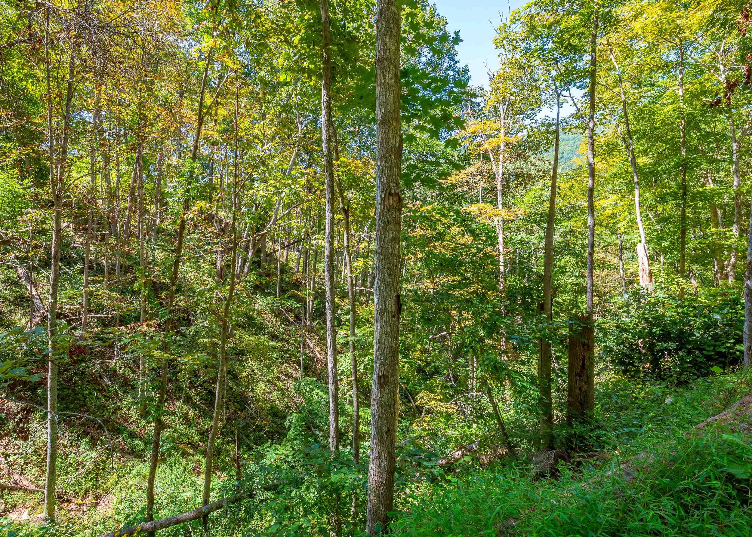 Tbd Wolf Creek Road Narrows VA 24124