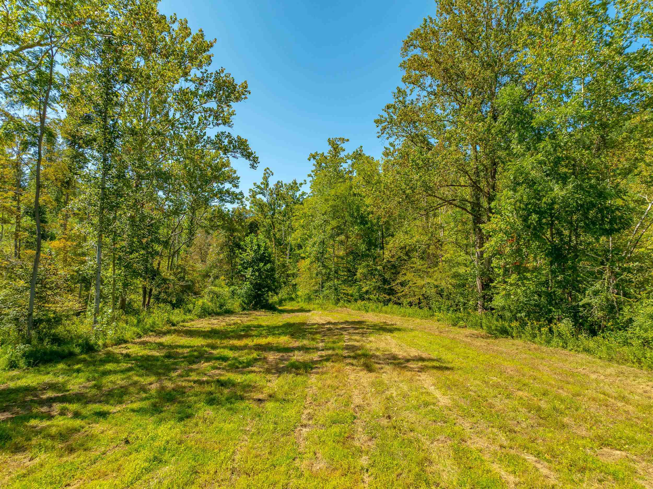 Tbd Wolf Creek Road Narrows VA 24124