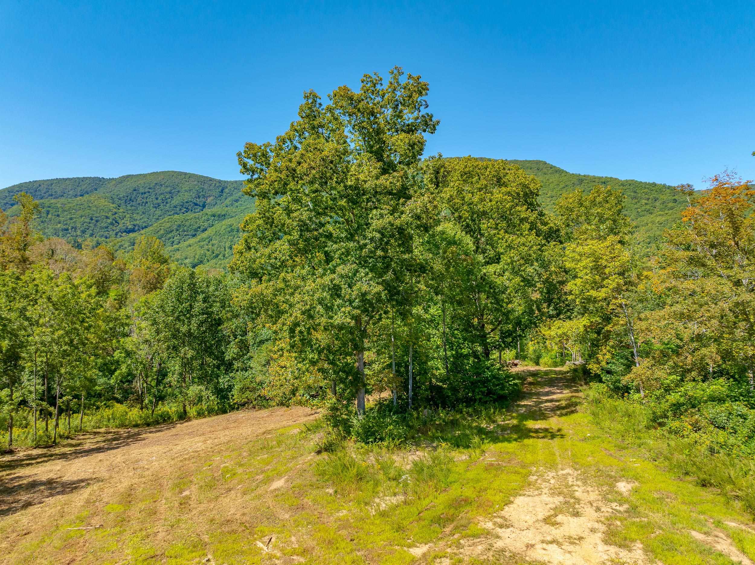 Tbd Wolf Creek Road Narrows VA 24124