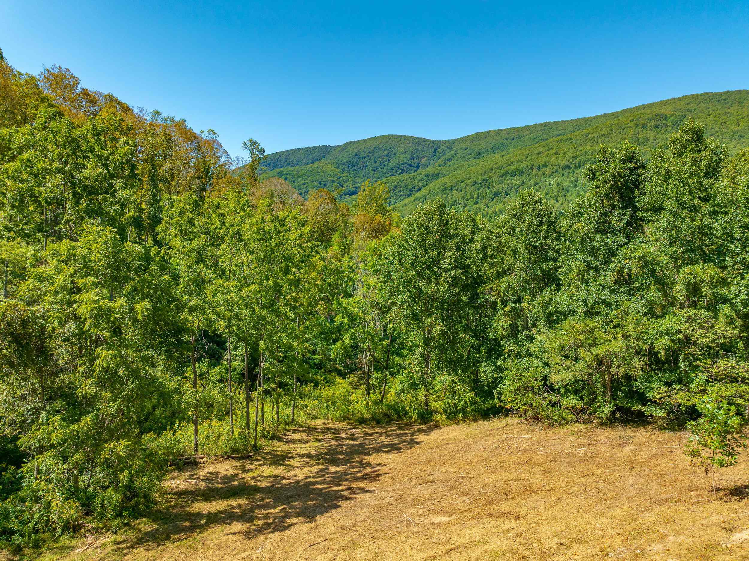 Tbd Wolf Creek Road Narrows VA 24124