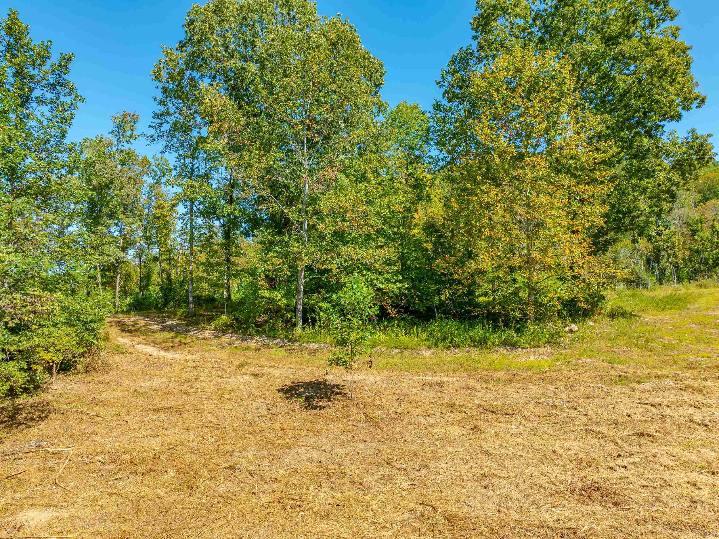 Tbd Wolf Creek Road Narrows VA 24124