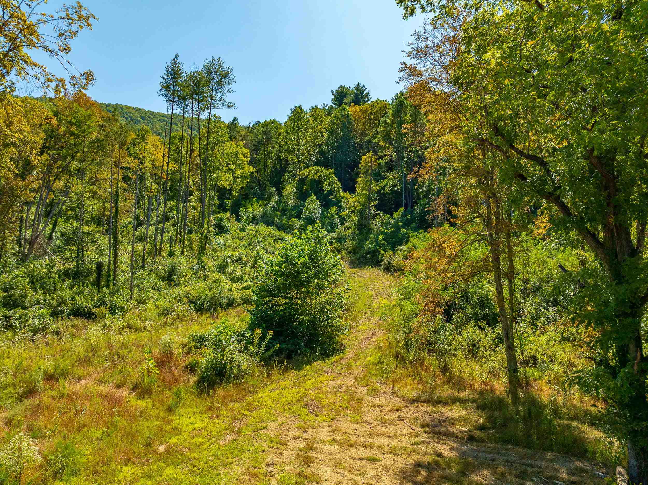 Tbd Wolf Creek Road Narrows VA 24124