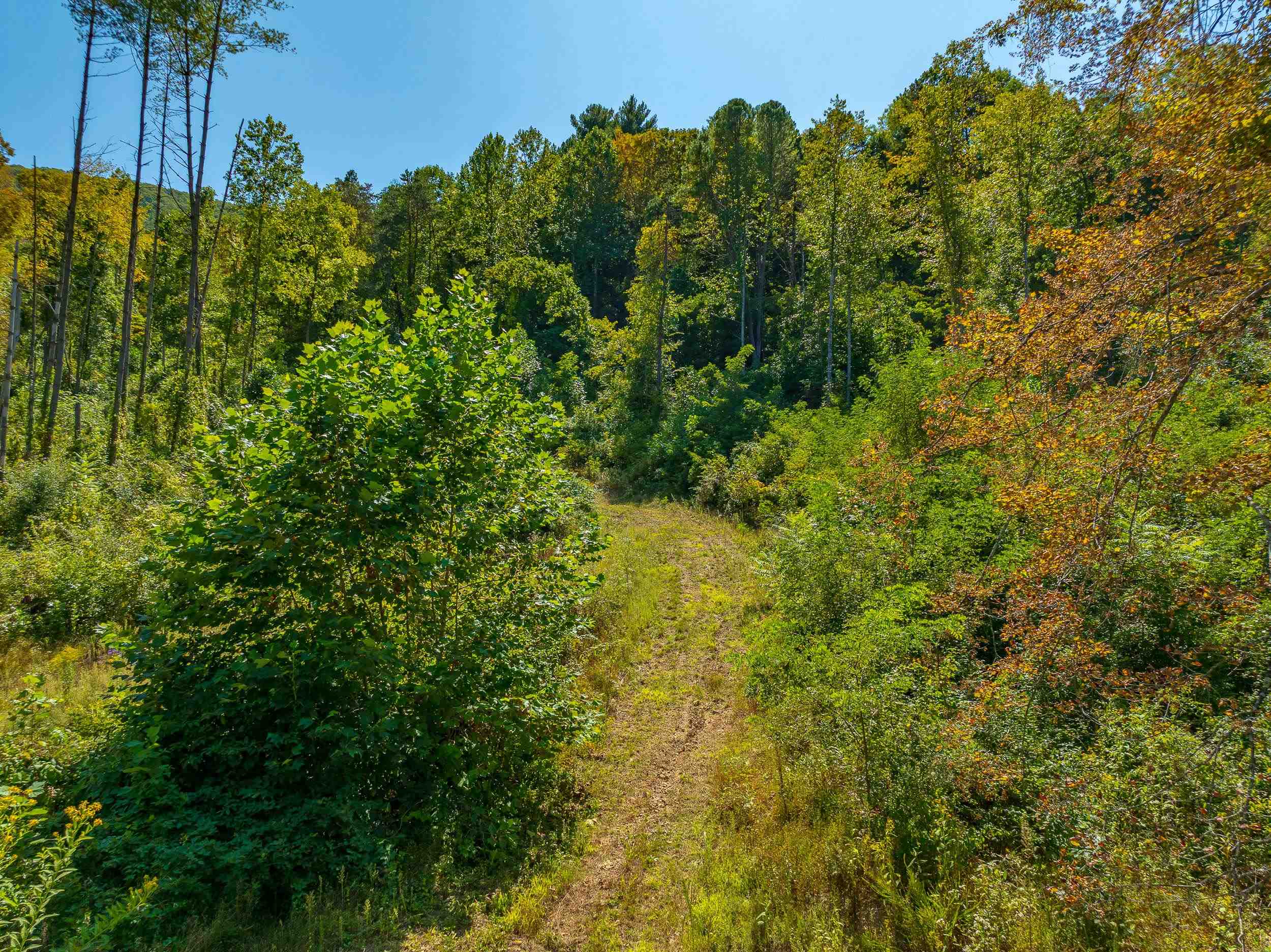 Tbd Wolf Creek Road Narrows VA 24124