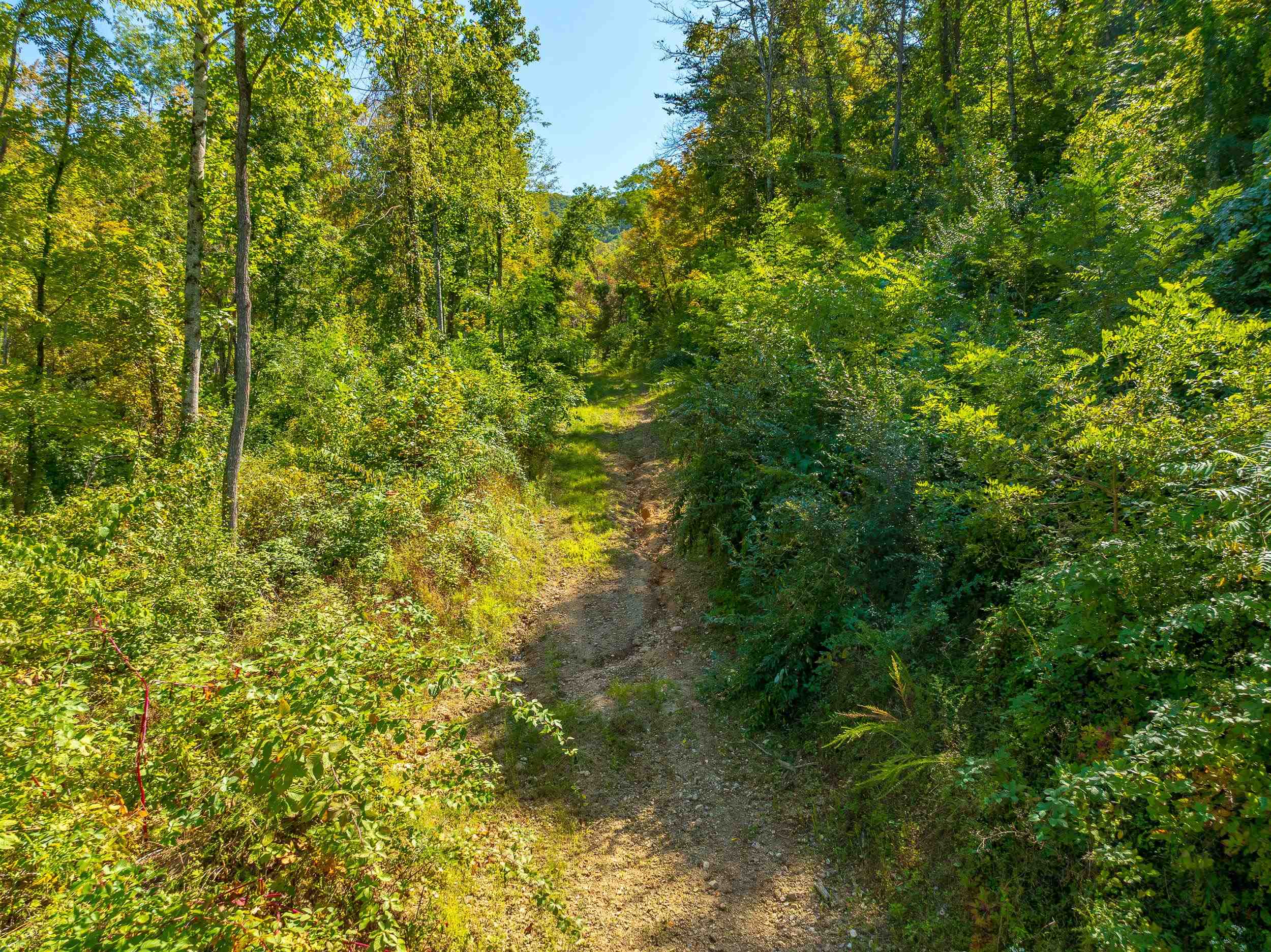 Tbd Wolf Creek Road Narrows VA 24124