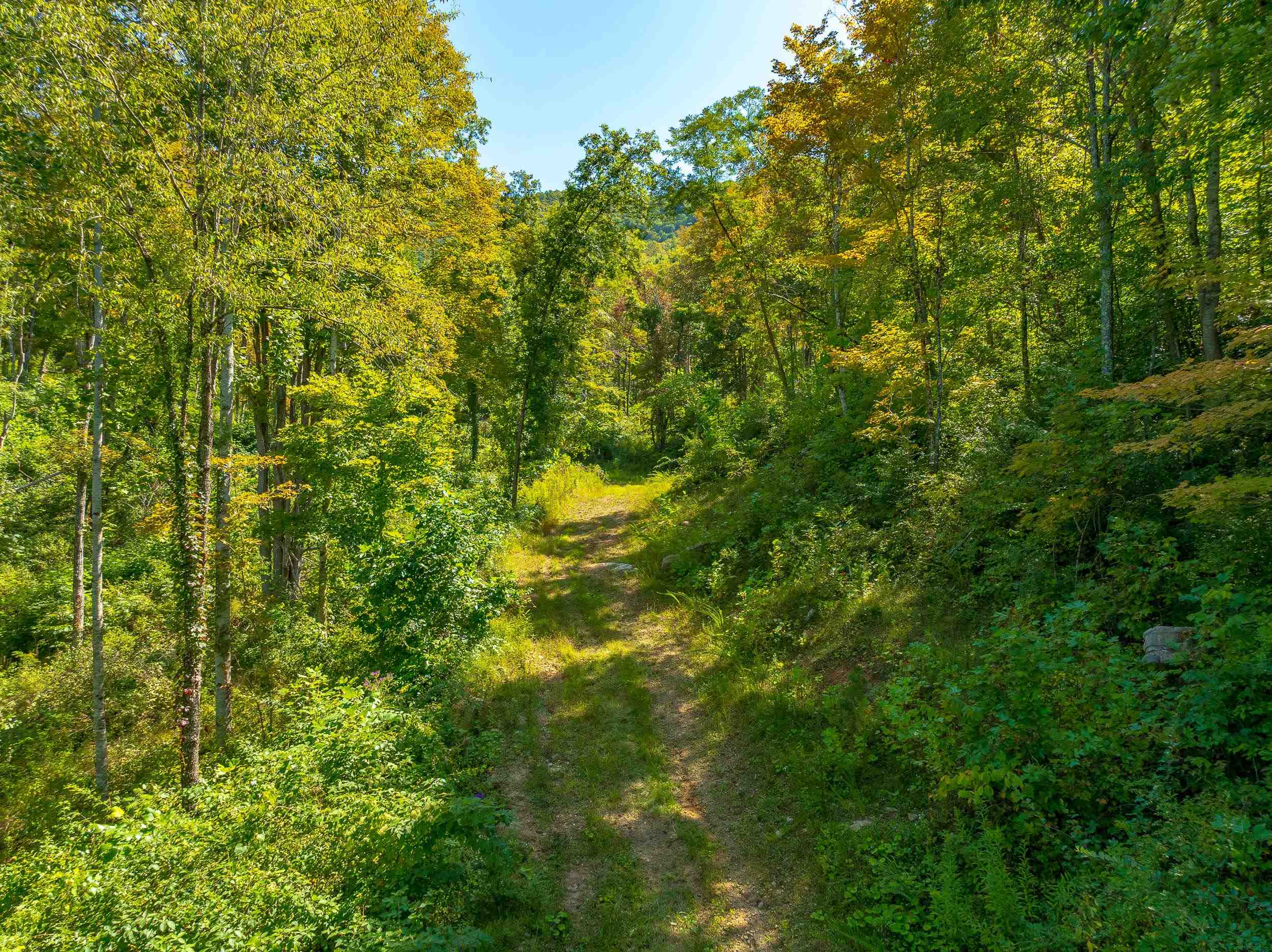 Tbd Wolf Creek Road Narrows VA 24124