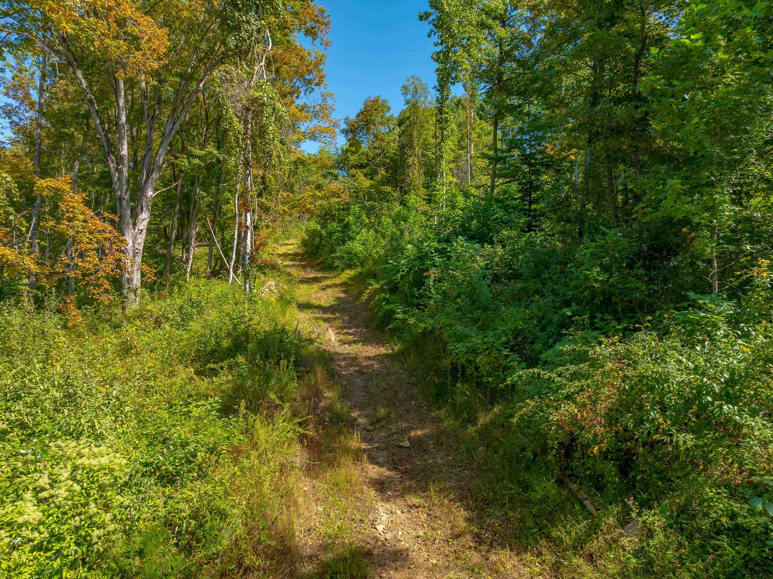 Tbd Wolf Creek Road Narrows VA 24124