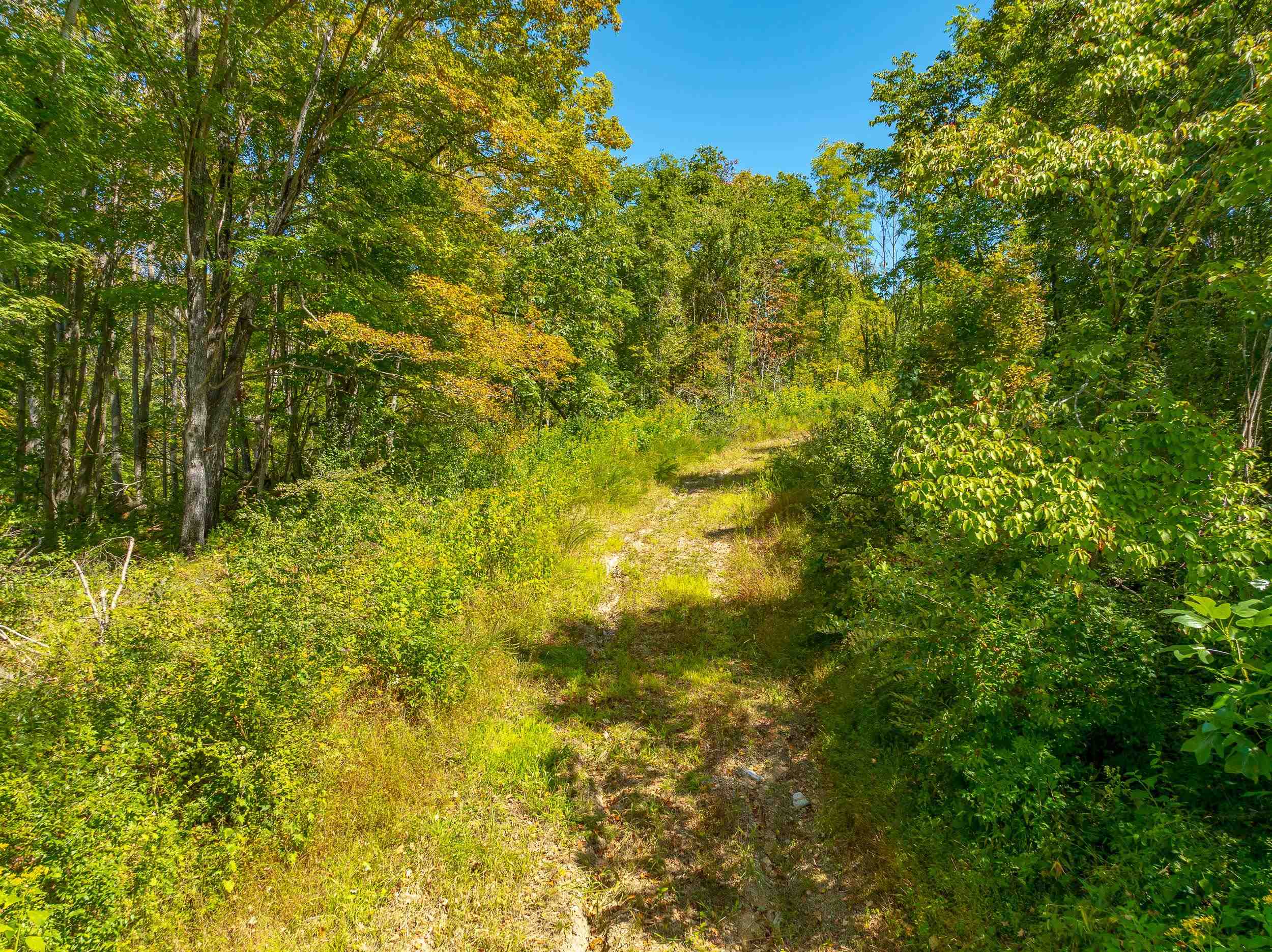 Tbd Wolf Creek Road Narrows VA 24124