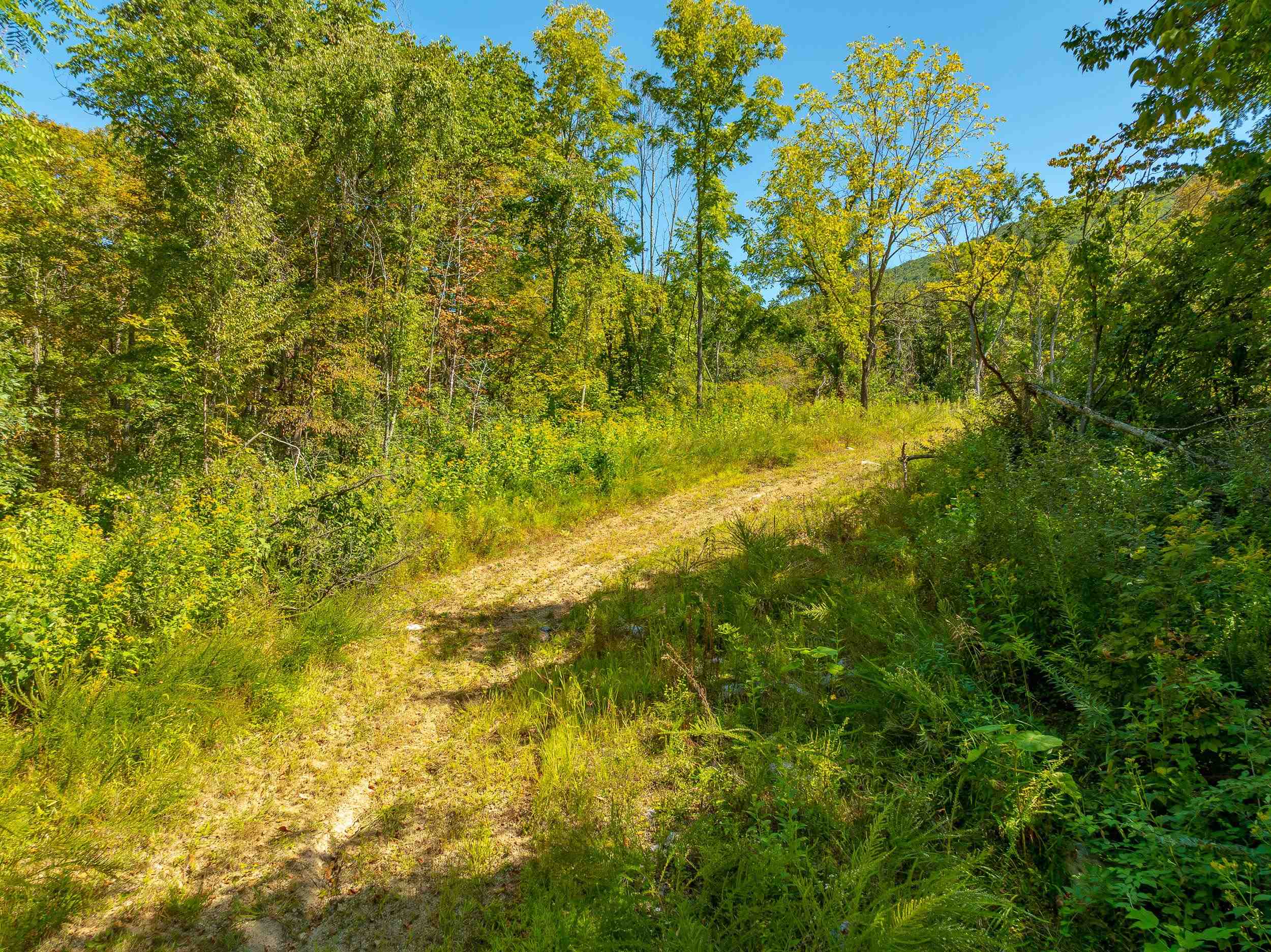 Tbd Wolf Creek Road Narrows VA 24124