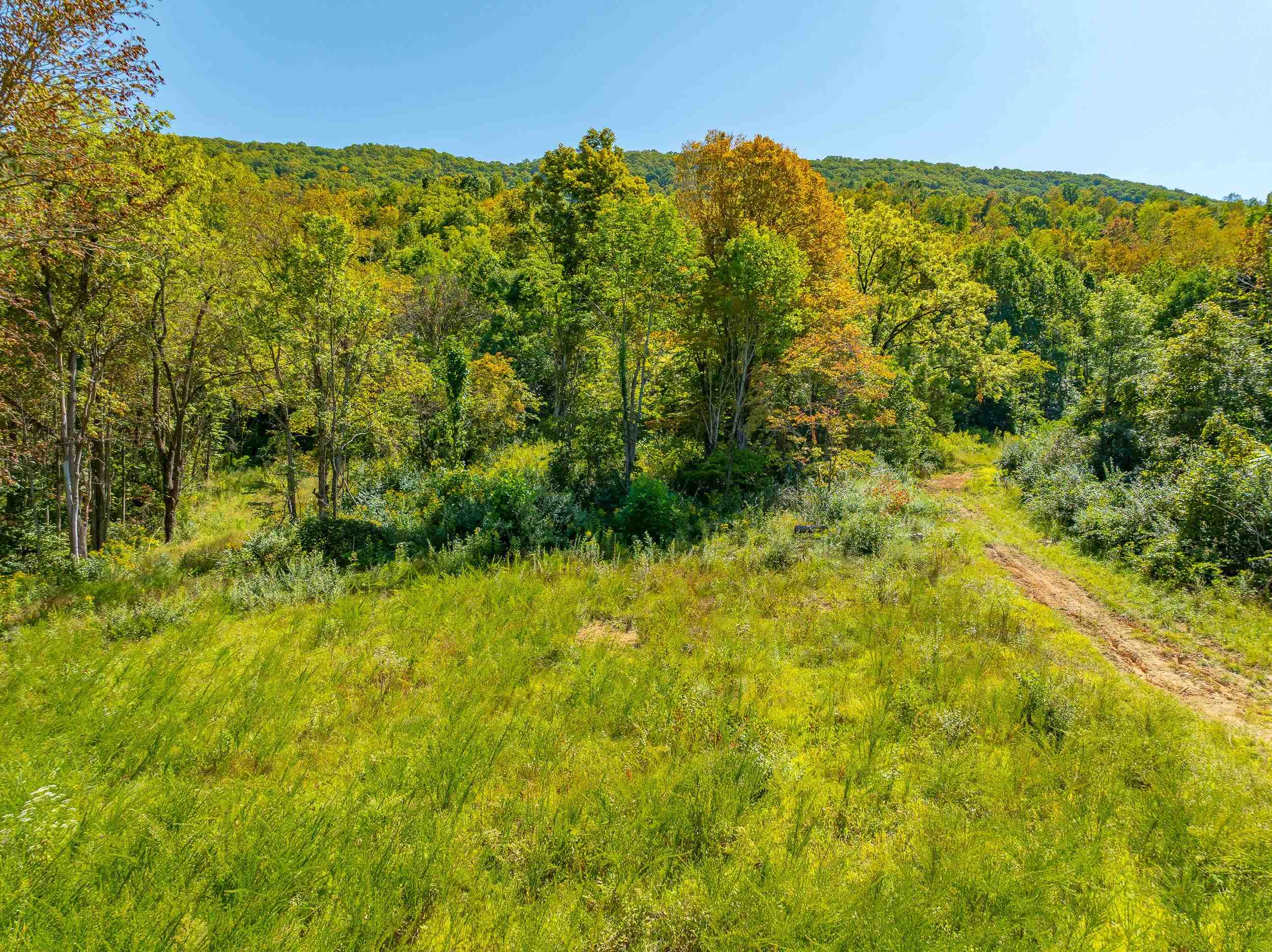 Tbd Wolf Creek Road Narrows VA 24124