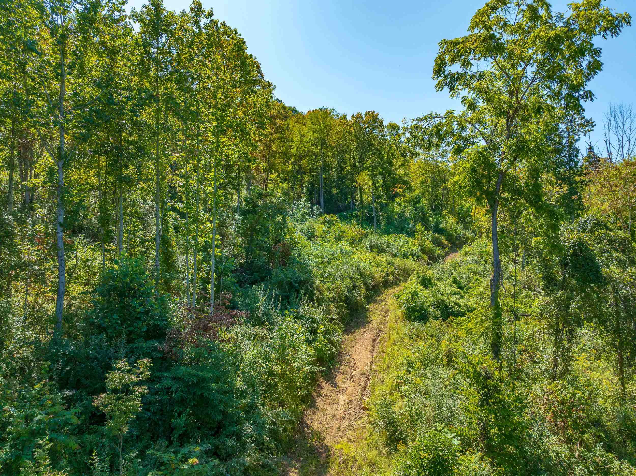 Tbd Wolf Creek Road Narrows VA 24124