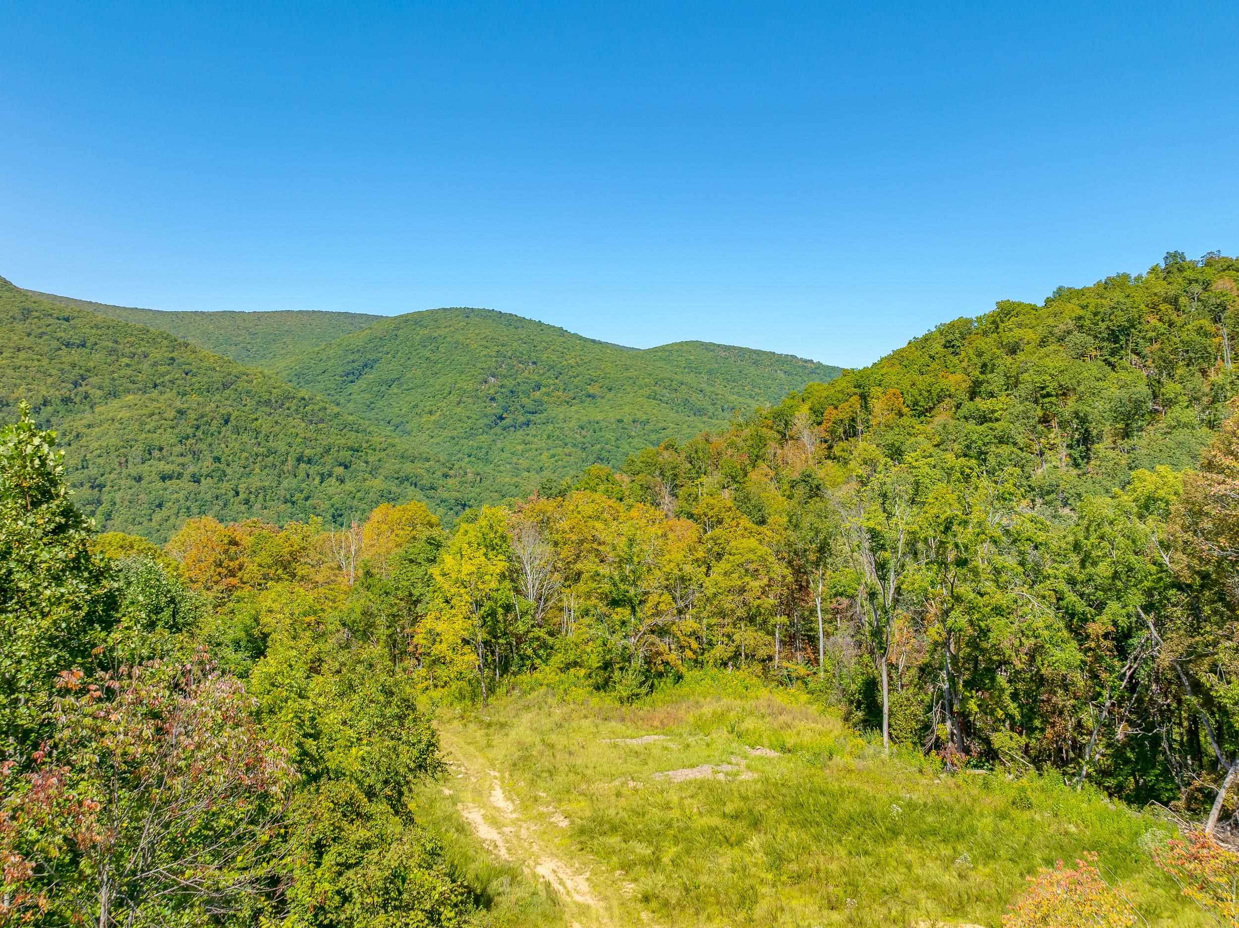 Tbd Wolf Creek Road Narrows VA 24124