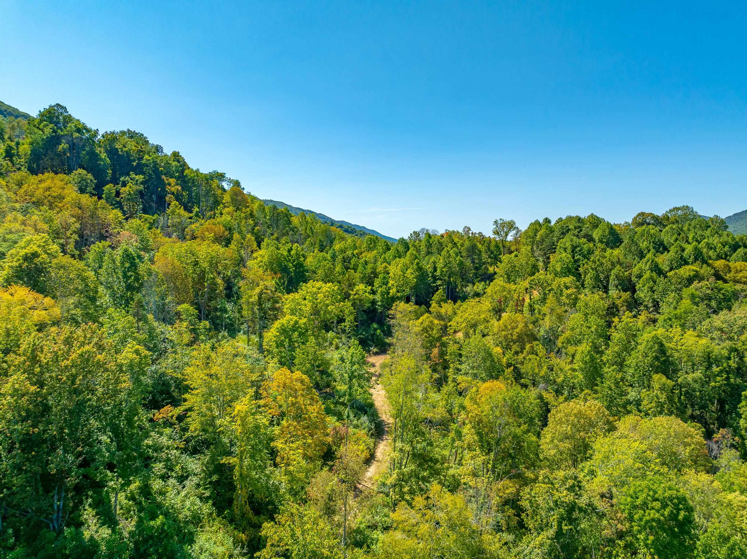 Tbd Wolf Creek Road Narrows VA 24124