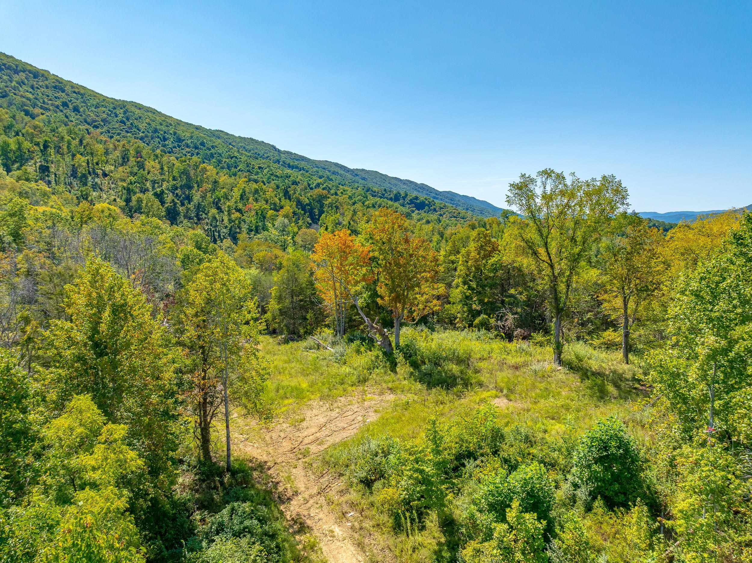 Tbd Wolf Creek Road Narrows VA 24124