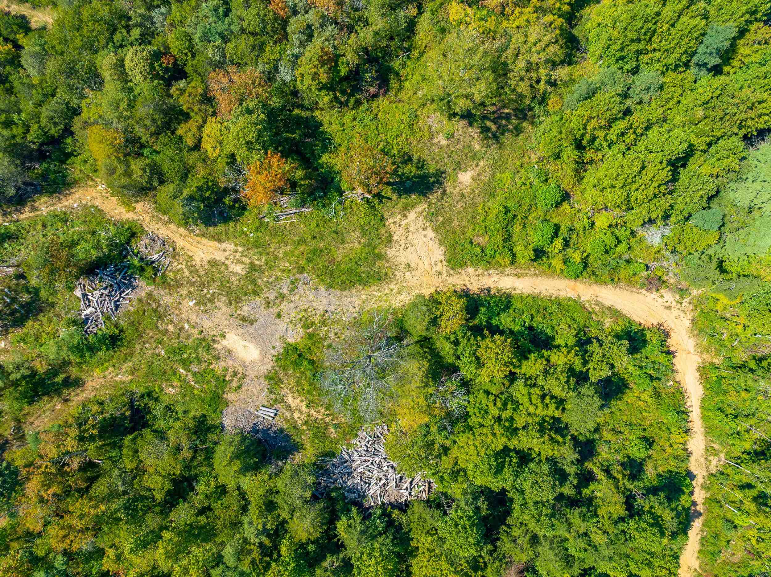 Tbd Wolf Creek Road Narrows VA 24124